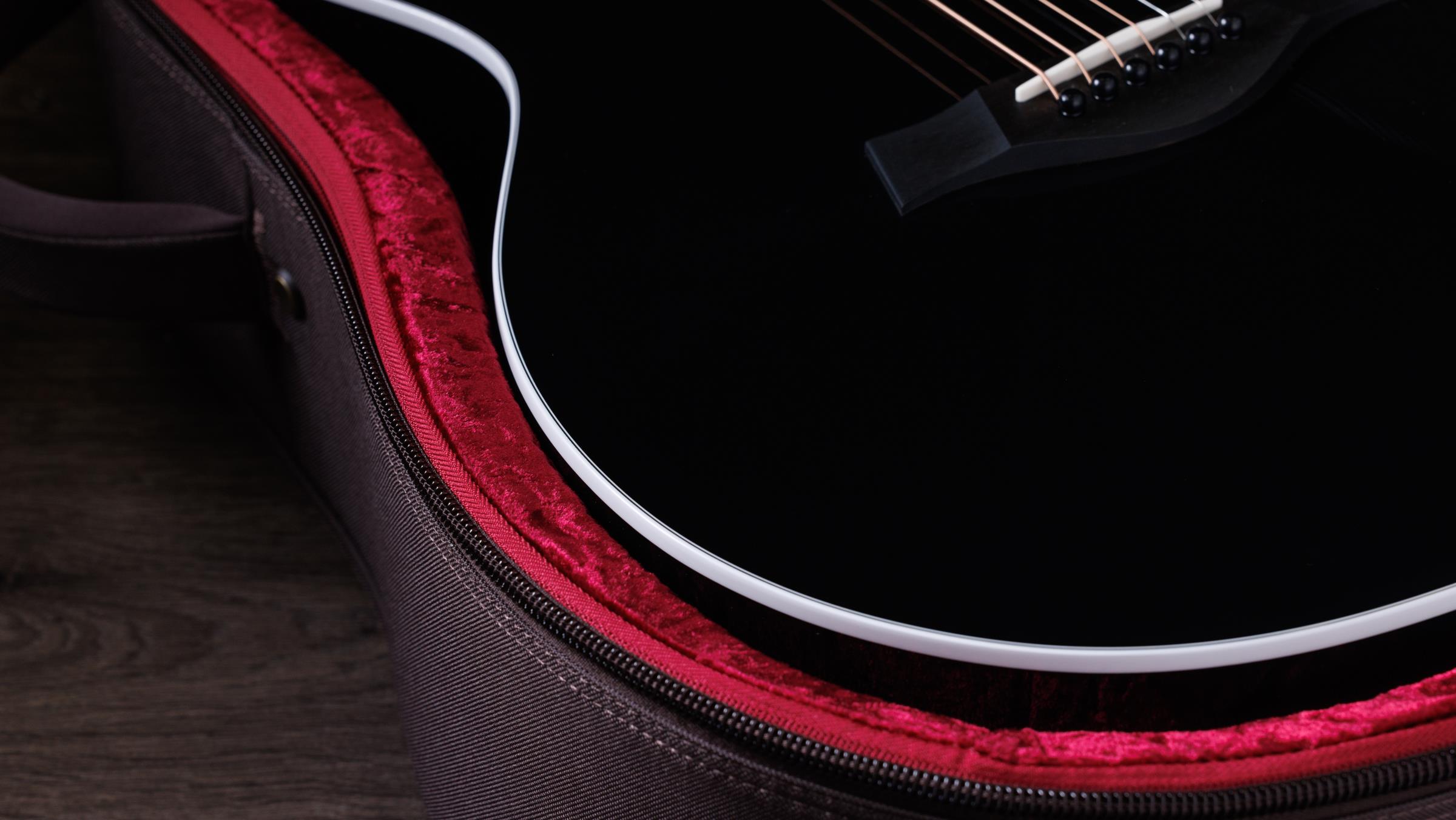 TAYLOR 214ce-BLK Plus TAYLOR 214ce-BLK Plus