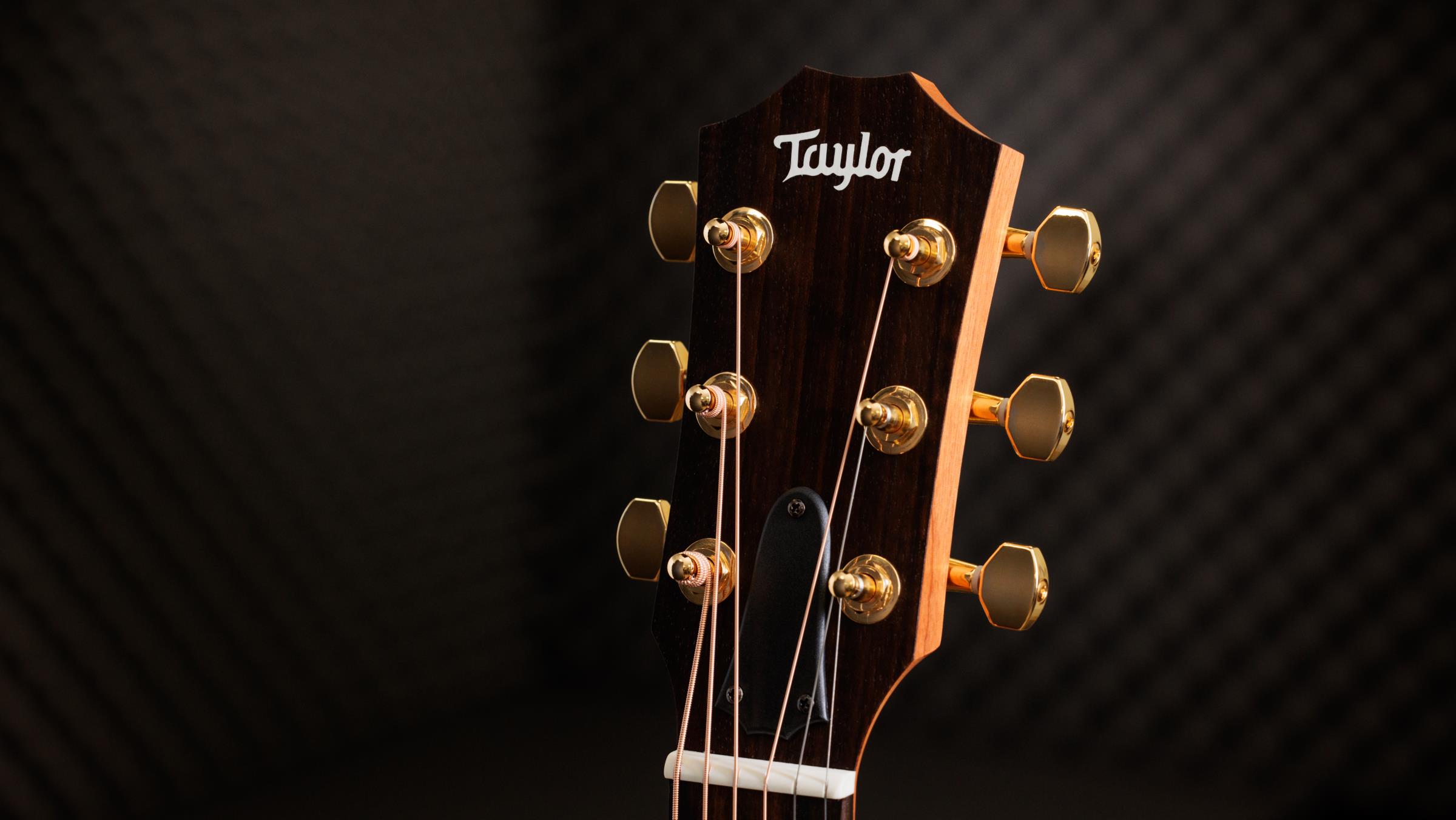 TAYLOR GS Mini-e Rosewood LTD,Nat Top,50th