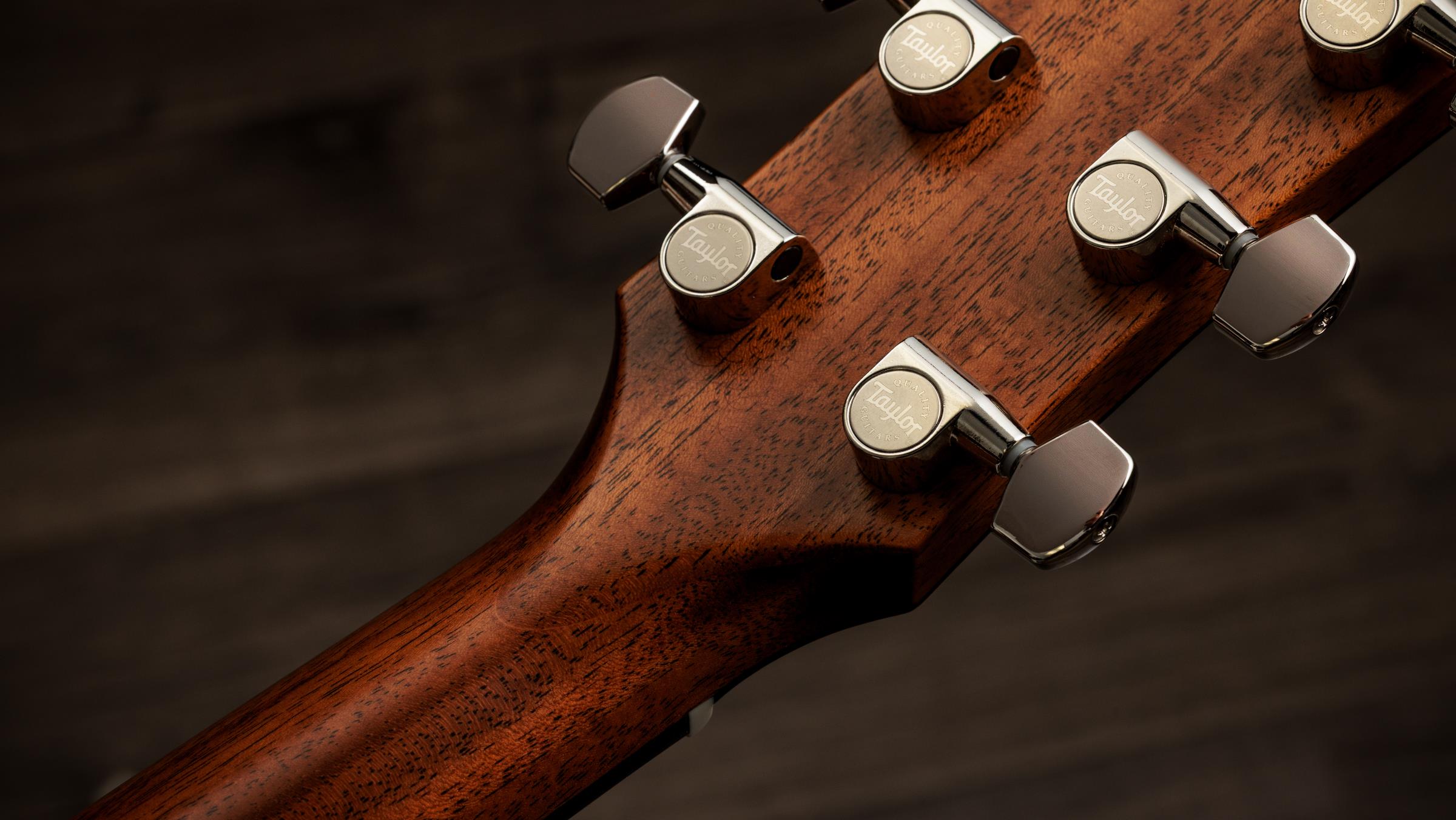 TAYLOR Gold Label 717e TAYLOR Gold Label 717e