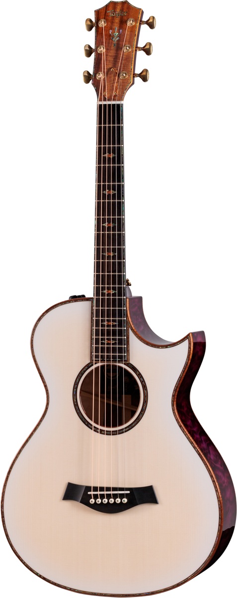 TAYLOR Custom GC 12-Fret,Catch Custom#6