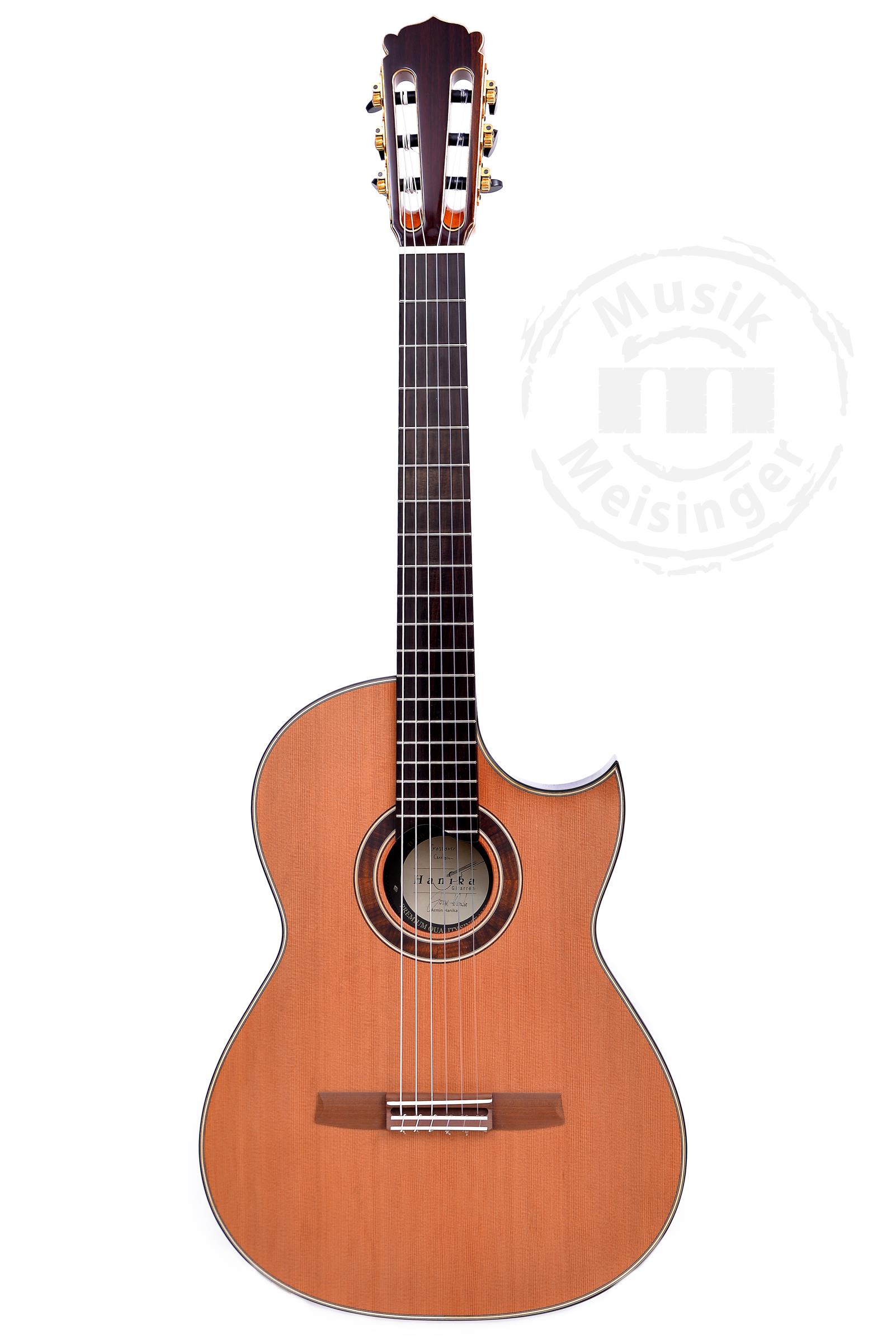 HANIKA Crossover Prototyp Leihgitarre Estas Tonne