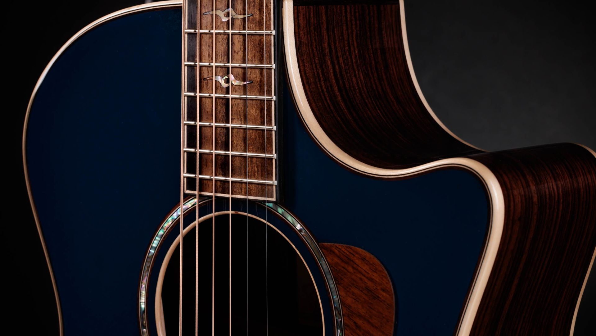 TAYLOR 814ce Special Edition Sapphire Top TAYLOR 814ce Special Edition Sapphire Top