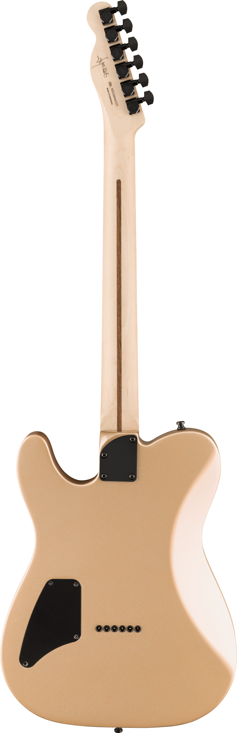 FENDER JIM ROOT TELECASTER EB SHG