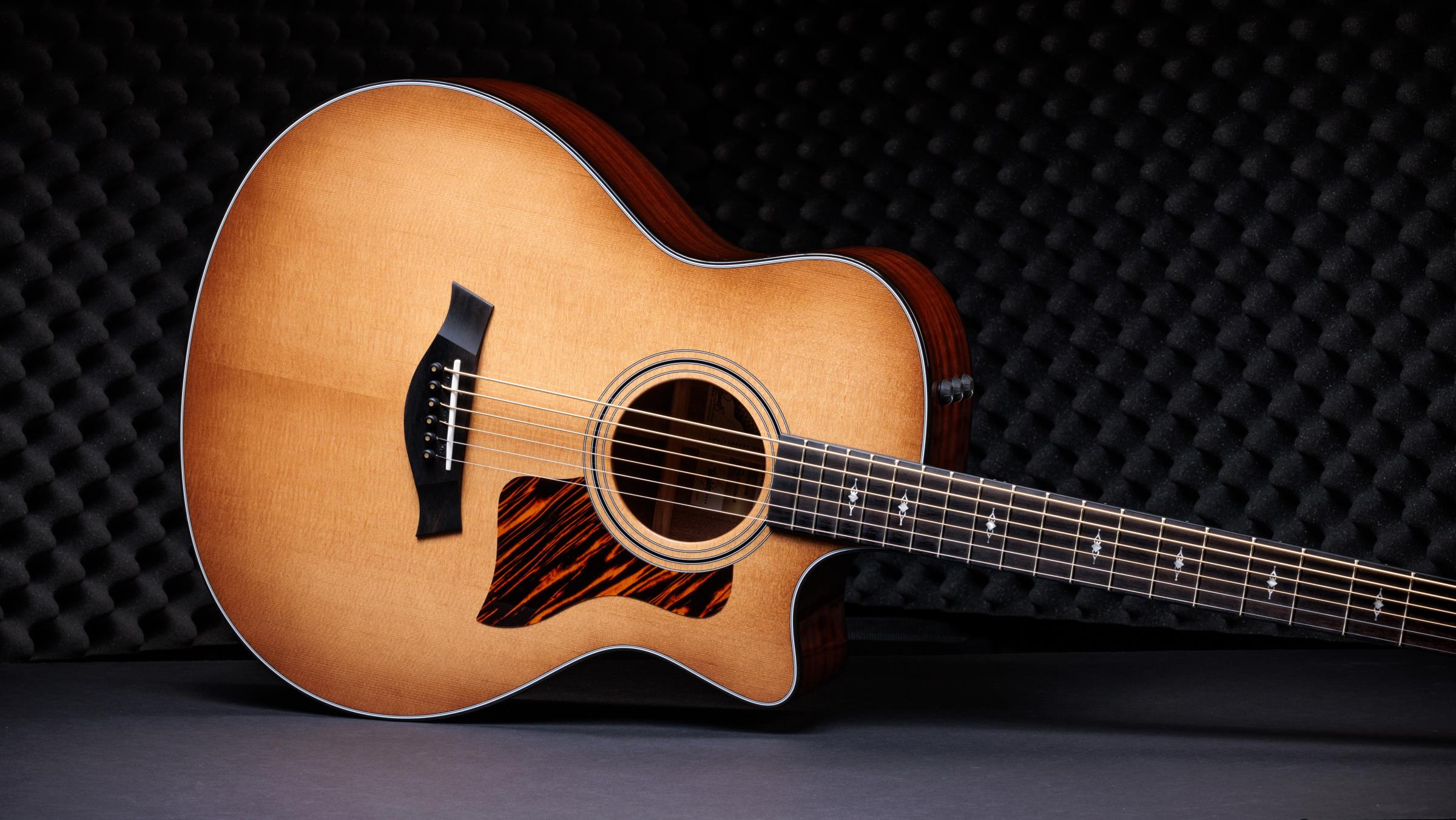 TAYLOR 316ce Baritone LTD, 50th Anniversary