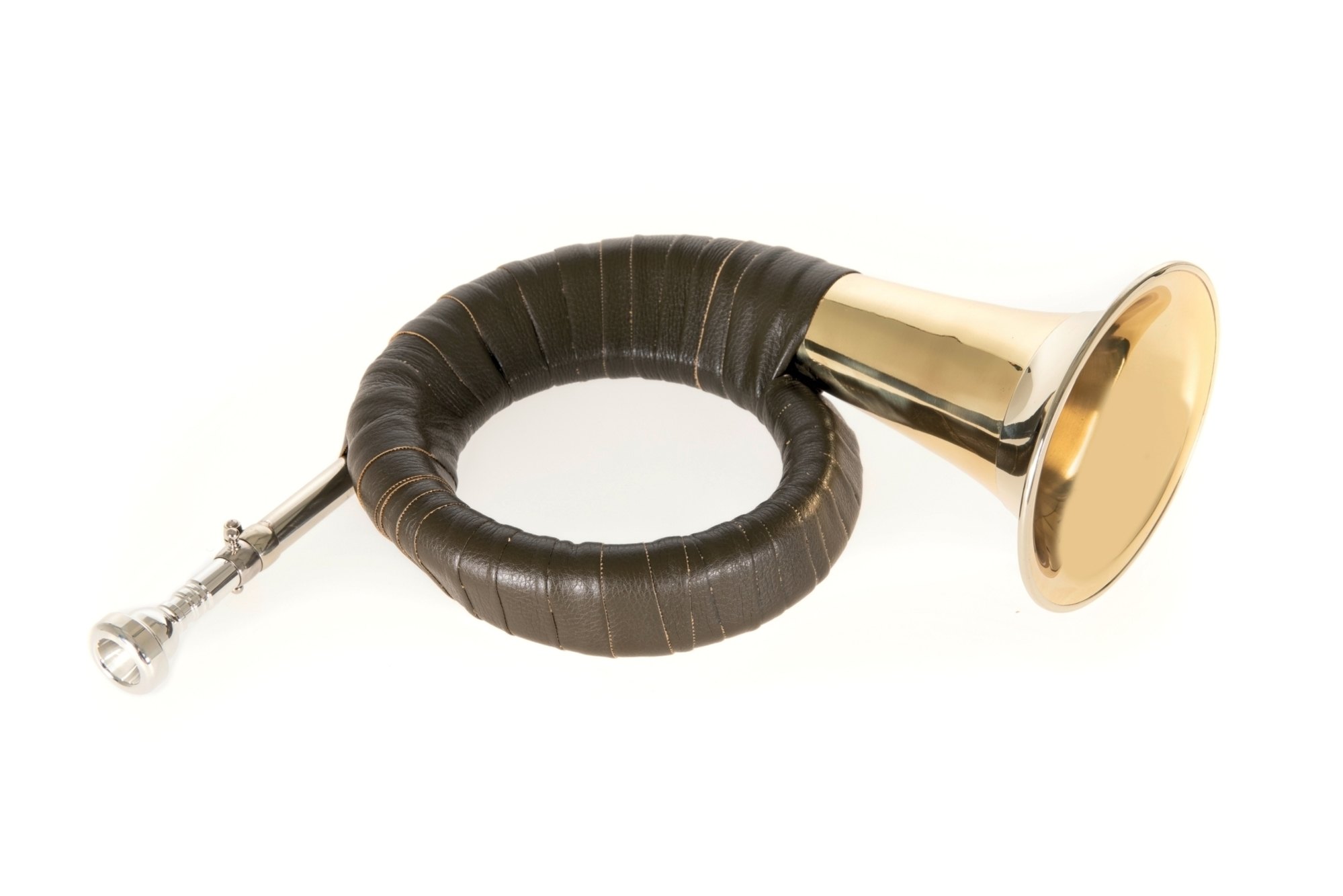 Pure Gewa Roy Benson HH-101  Fürst Pless Horn