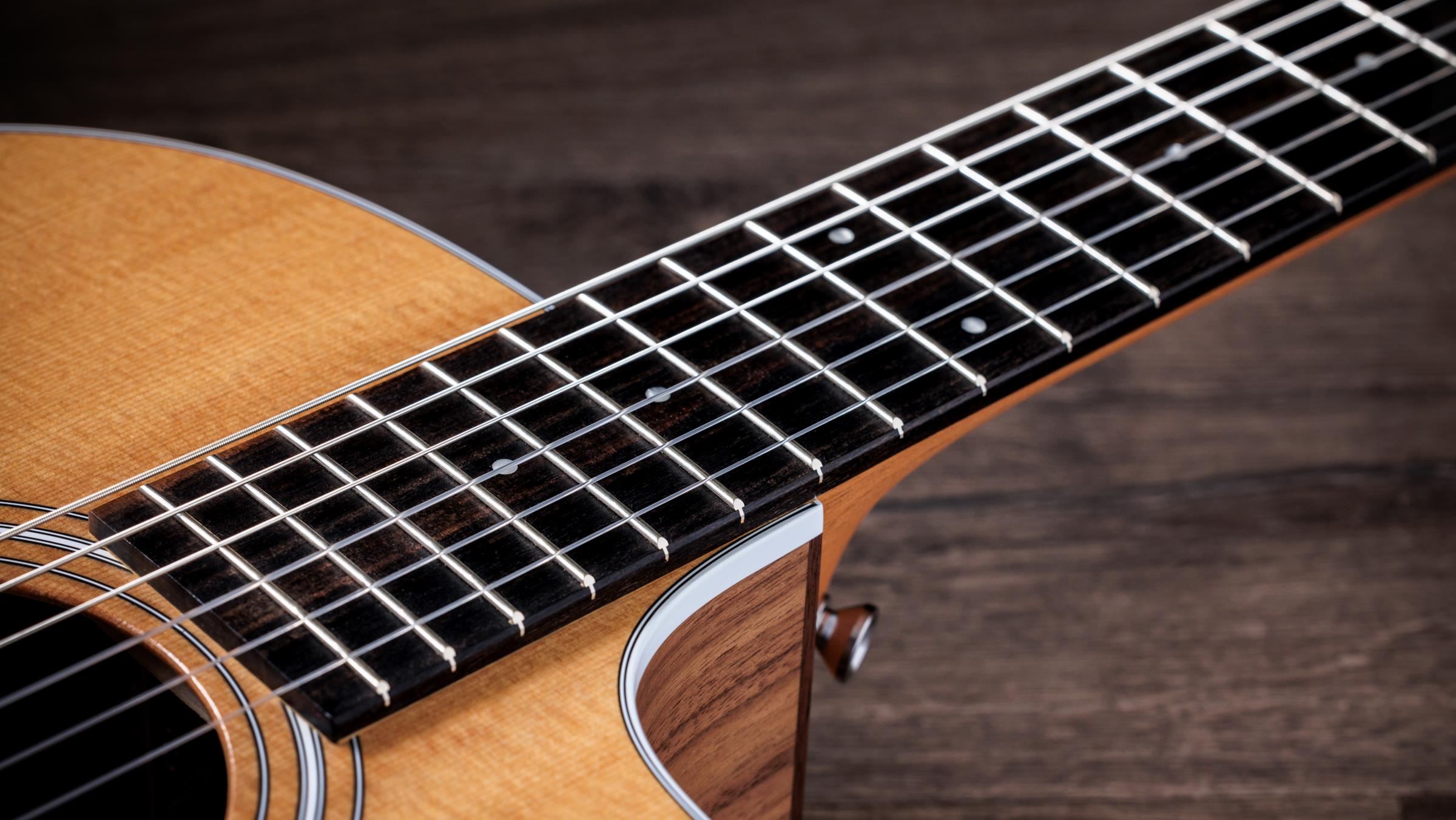 TAYLOR 214ce-N TAYLOR 214ce-N