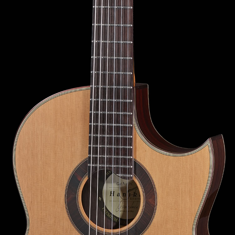 HANIKA CutPro PC inkl. Tonabnehmer Udo Rösner "HASH"