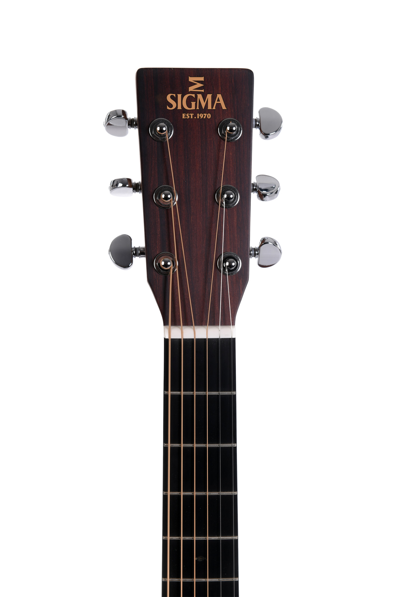 Sigma Guitars DM-15E