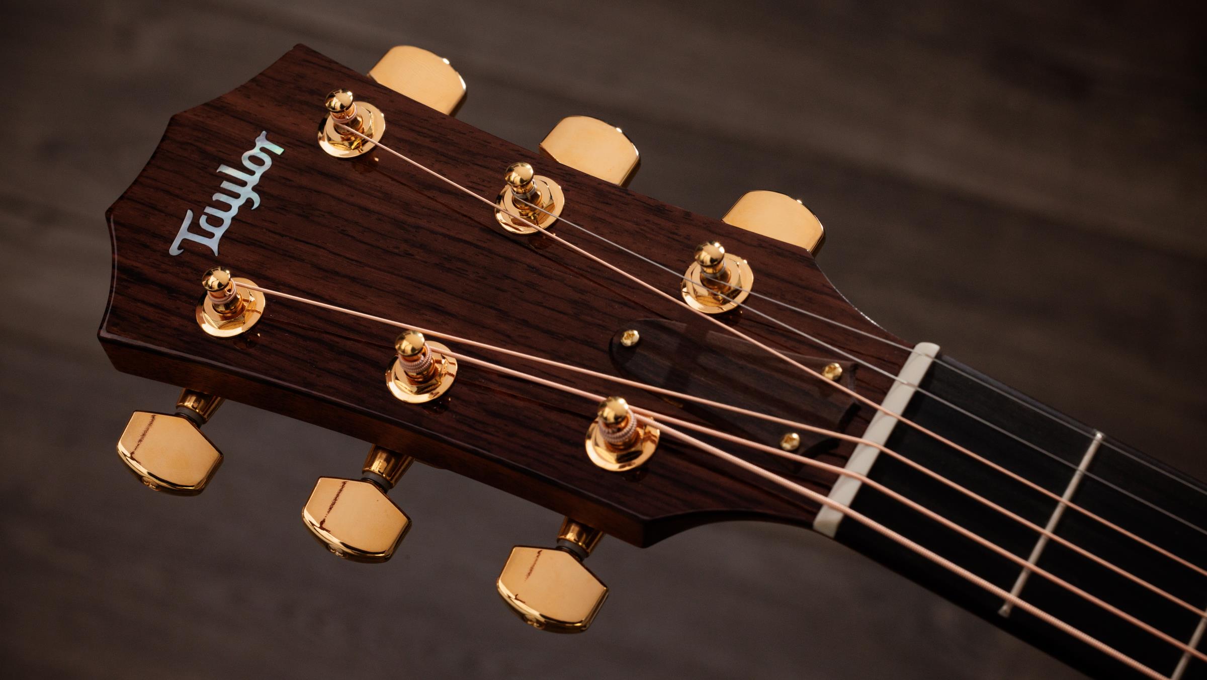 TAYLOR Legacy 514ce