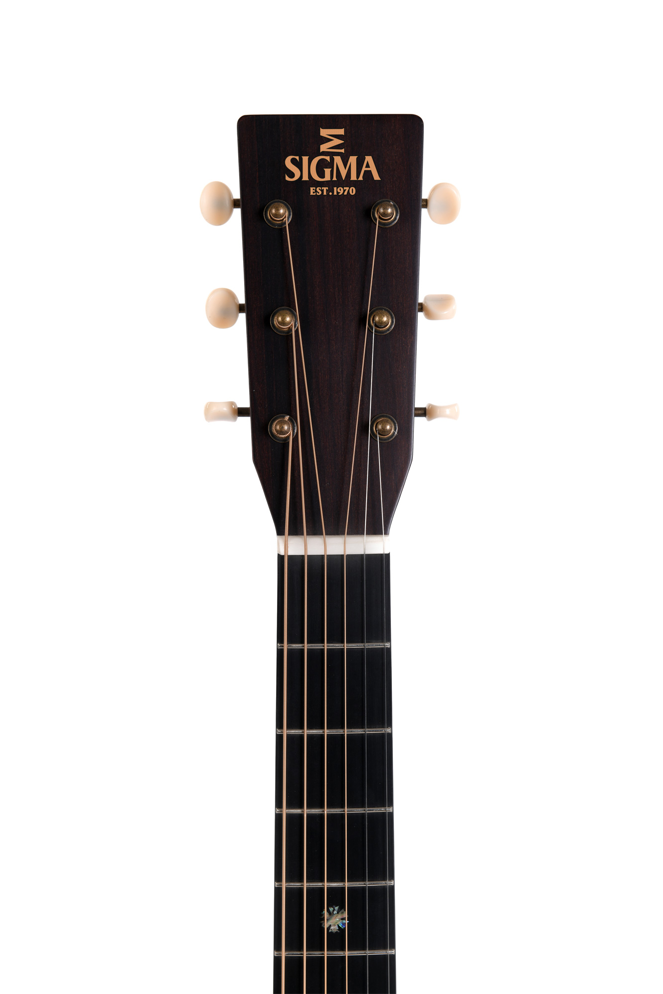 SIGMA GUITARS SDM-15E