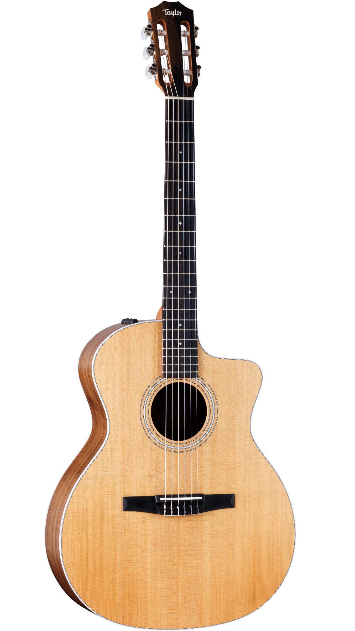 TAYLOR 214ce-N TAYLOR 214ce-N