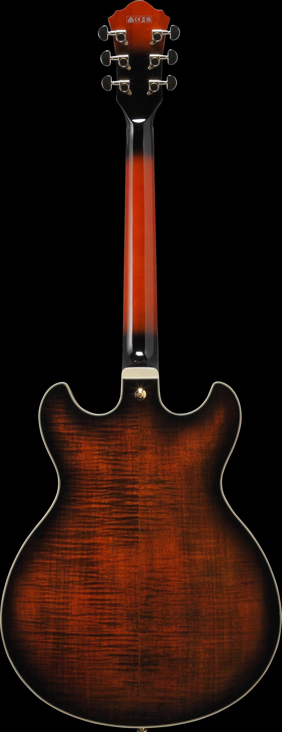 IBANEZ AS113B-TBC IBANEZ AS113B-TBC