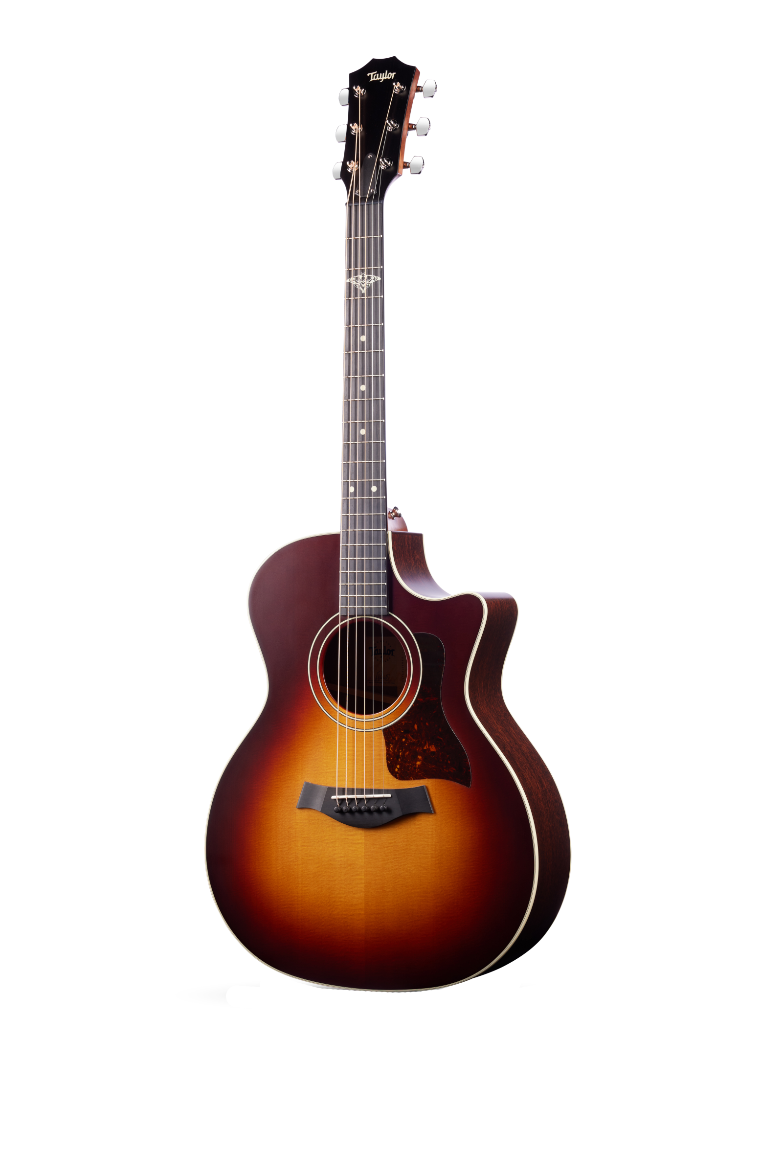 TAYLOR The Last of Us 314c