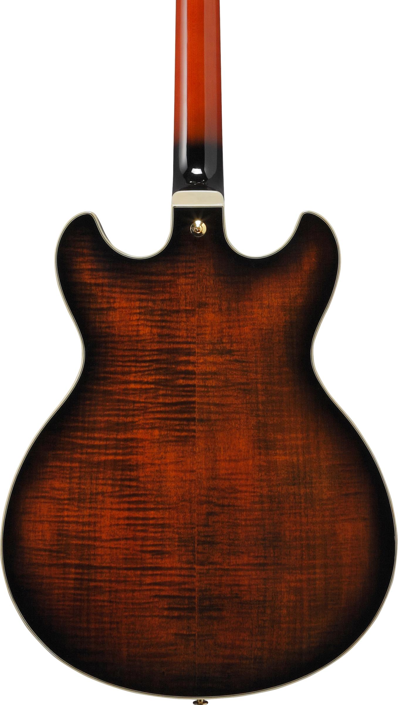 IBANEZ AS113B-TBC IBANEZ AS113B-TBC
