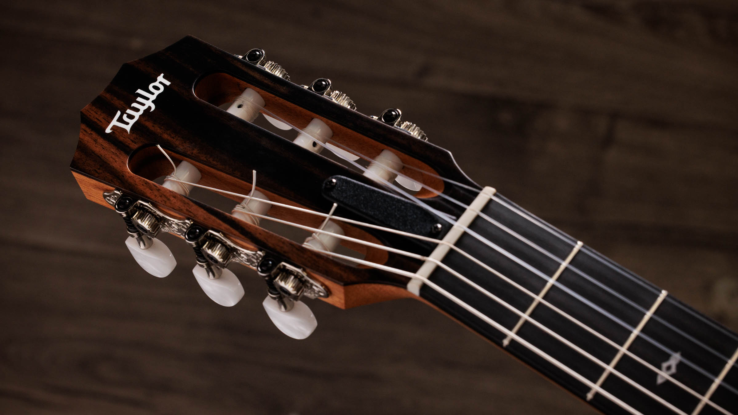TAYLOR Sunset Blvd 214ce-N Plus
