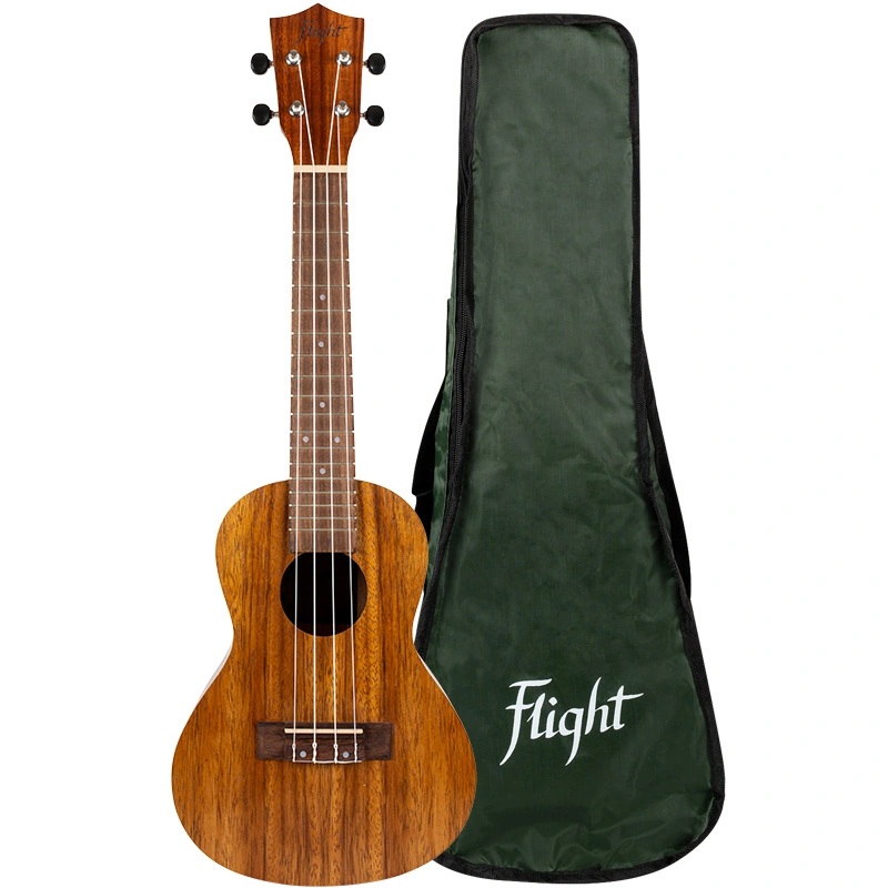 FLIGHT NUC-200 Concert
