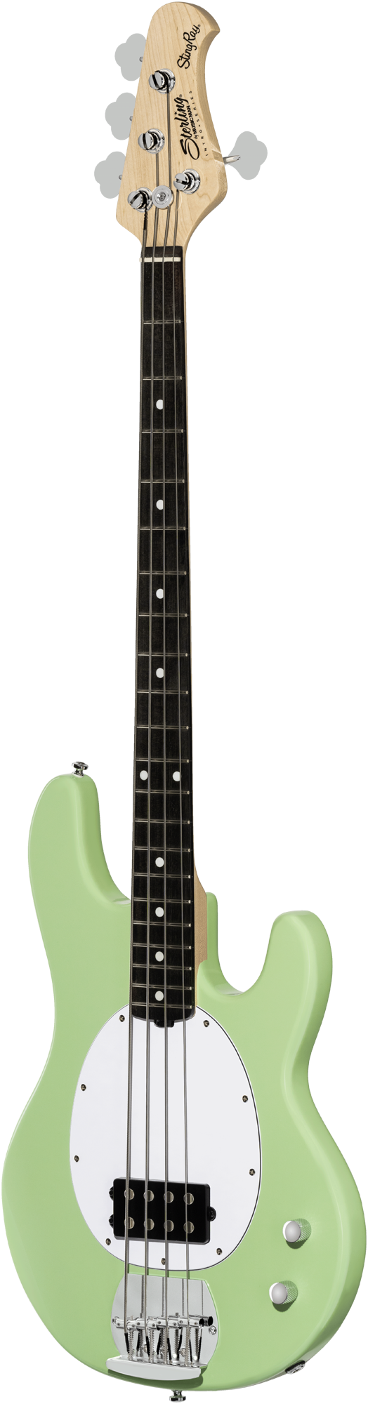 STERLING Intro Serie StingRay RAY2 Misty Green STERLING Intro Serie StingRay RAY2 Misty Green