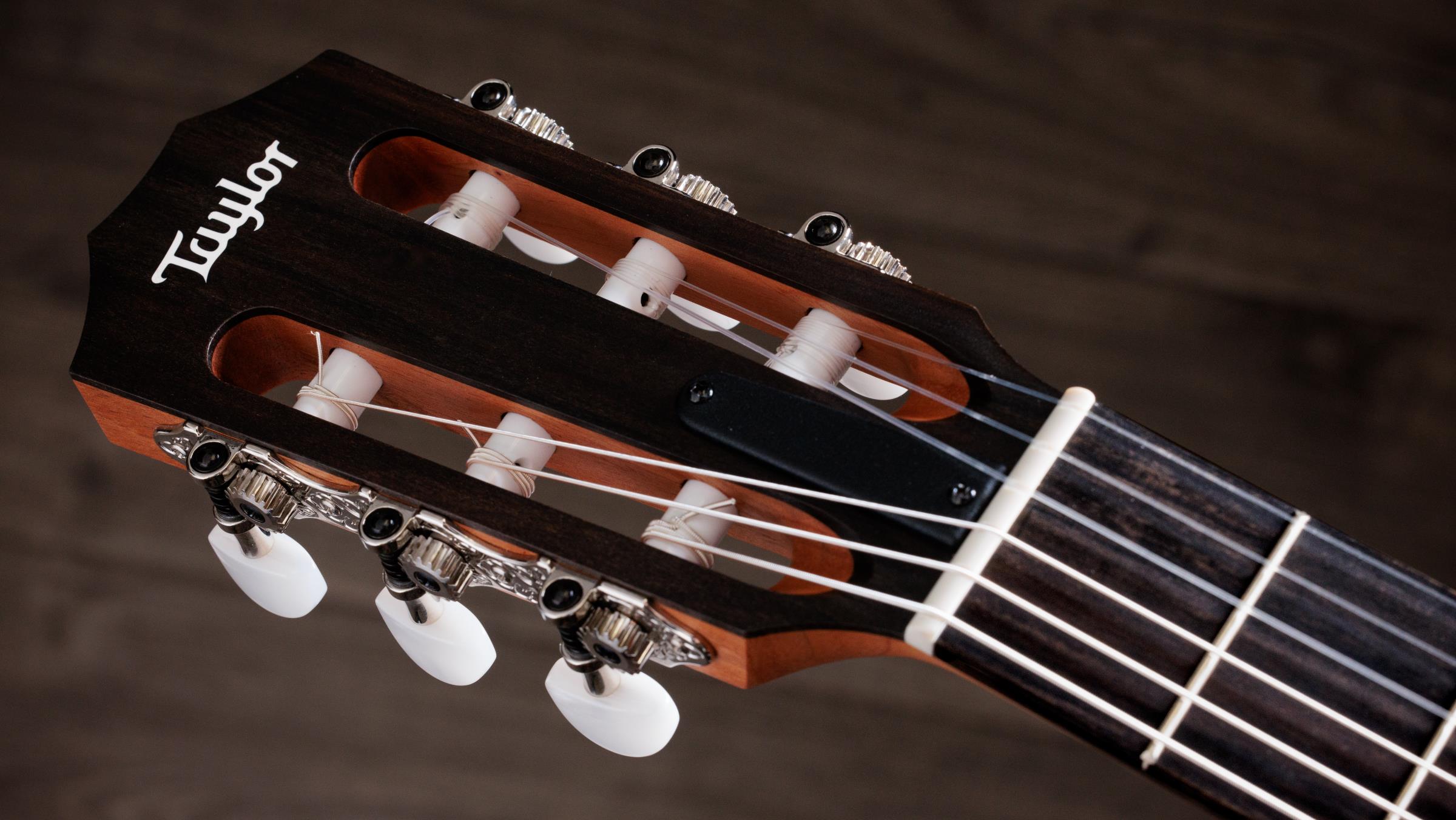 TAYLOR 112ce-N