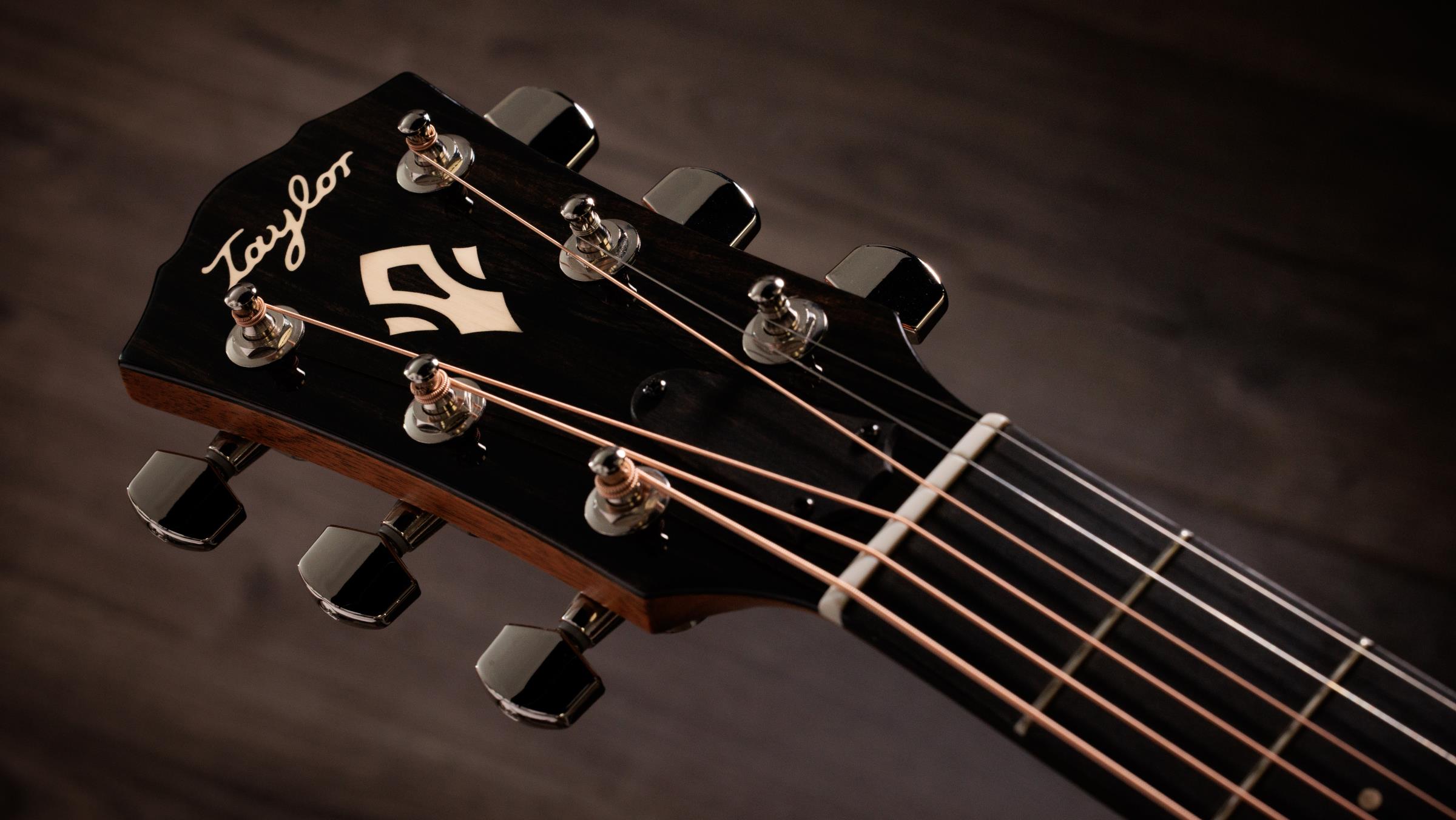 TAYLOR Gold Label 717e TAYLOR Gold Label 717e