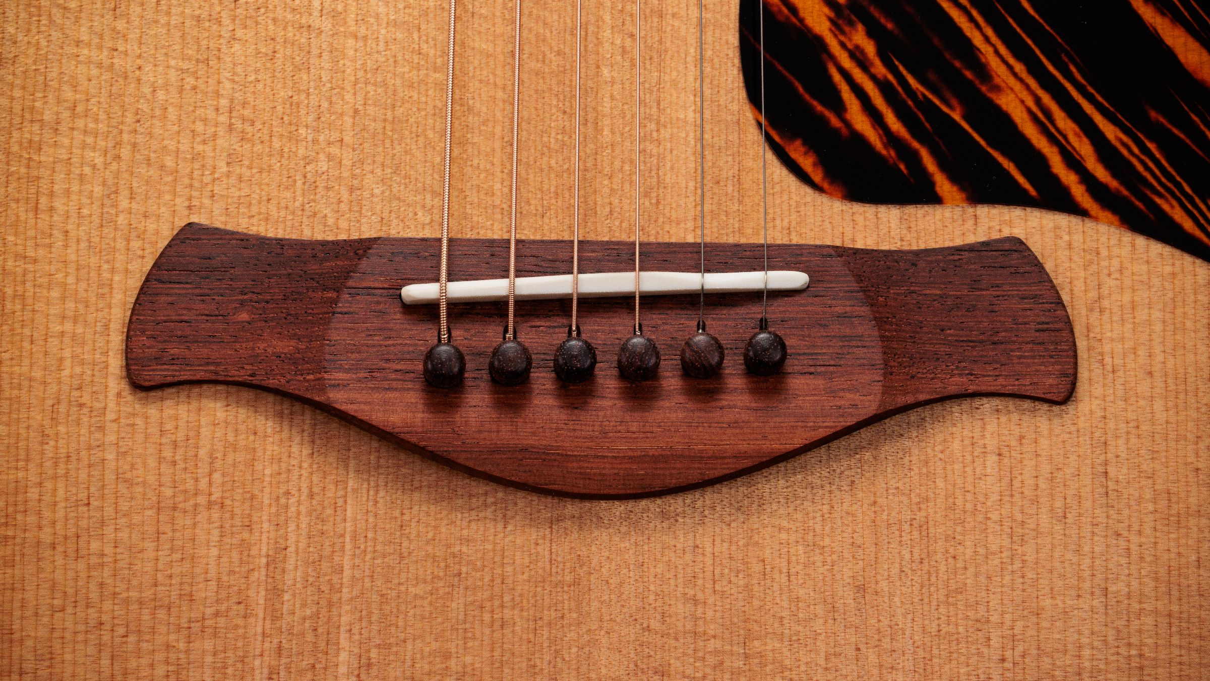 TAYLOR Gold Label 710e