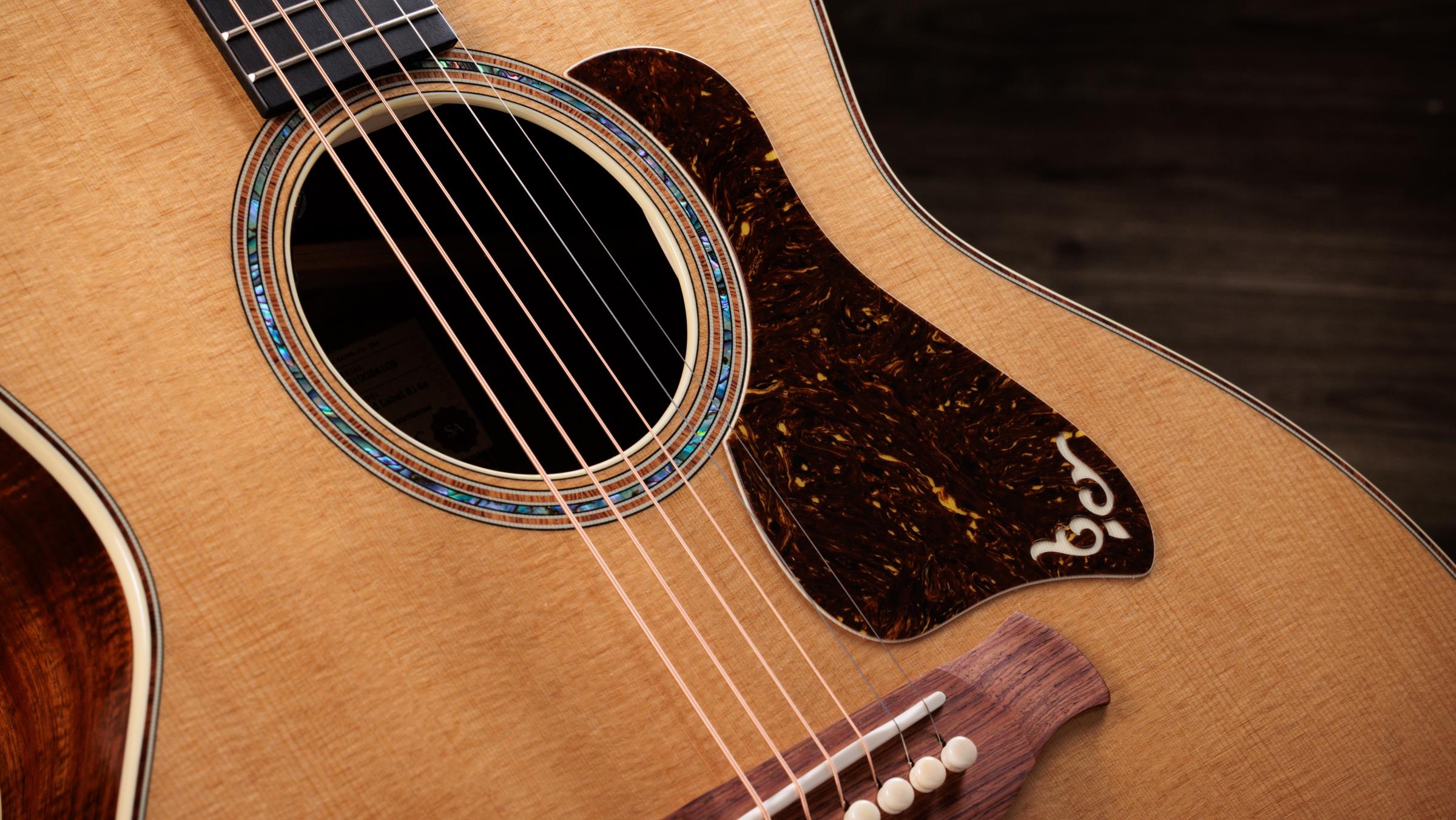 TAYLOR Gold Label 814e Koa TAYLOR Gold Label 814e Koa