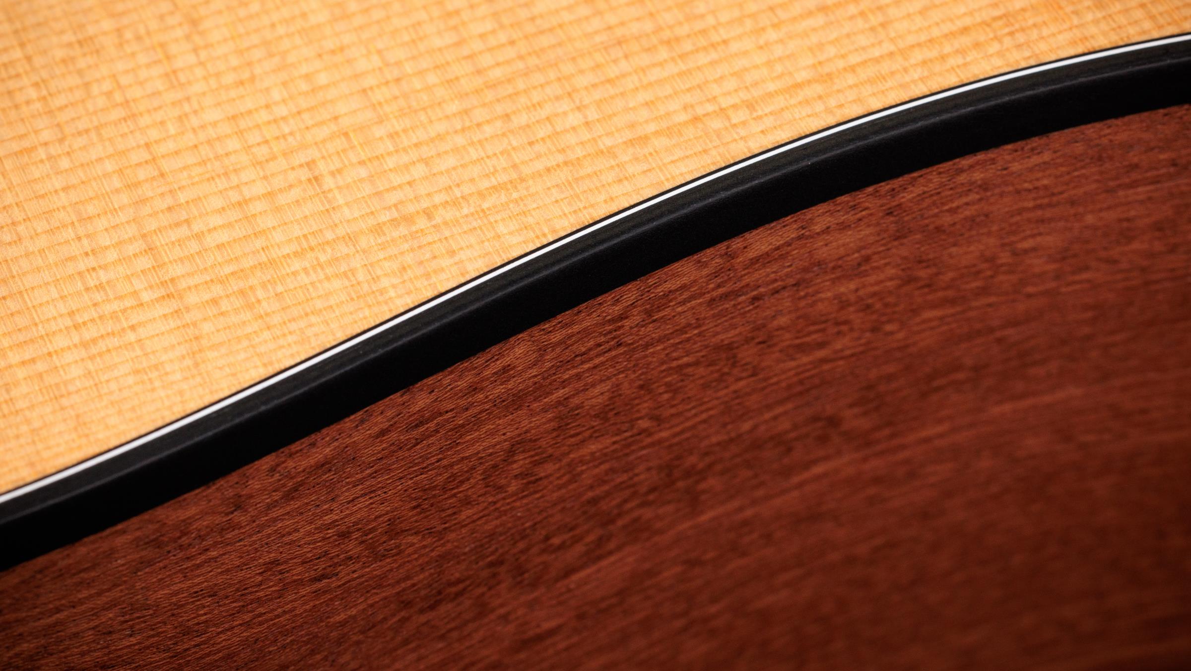 TAYLOR 110ce Sapele