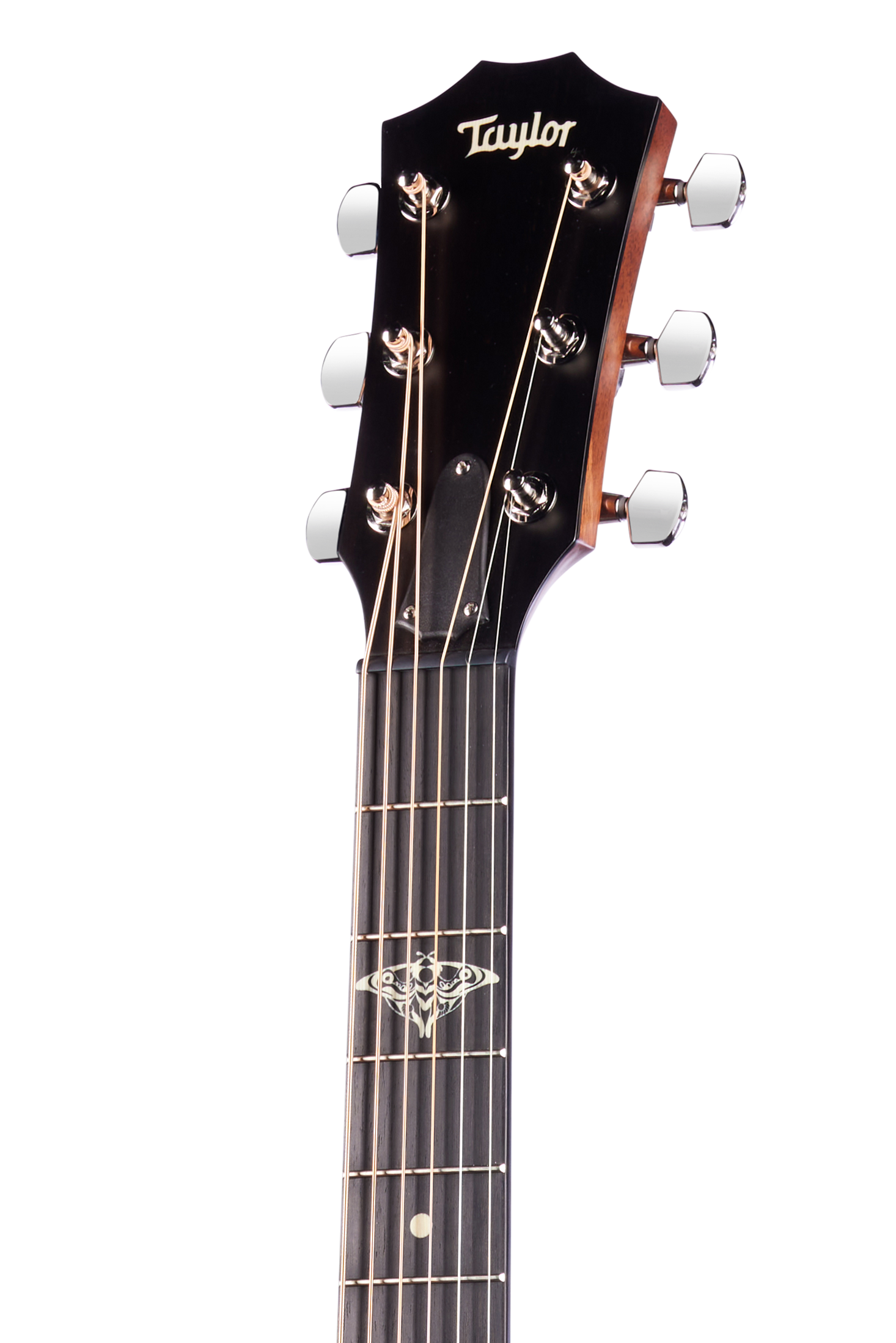 TAYLOR The Last of Us 314c TAYLOR The Last of Us 314c