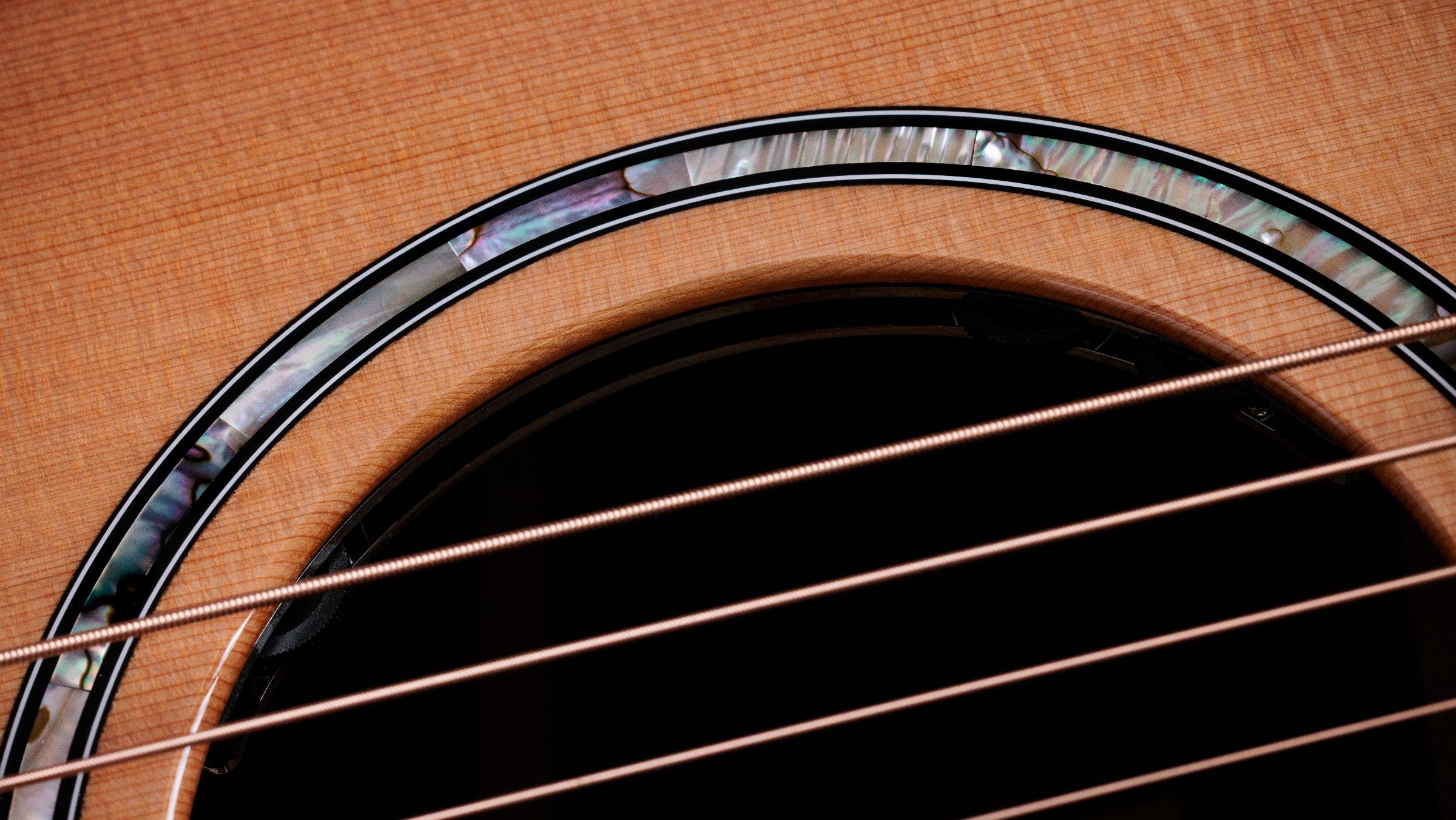 TAYLOR 714ce,Ind.Rosewood/Cedar,2026