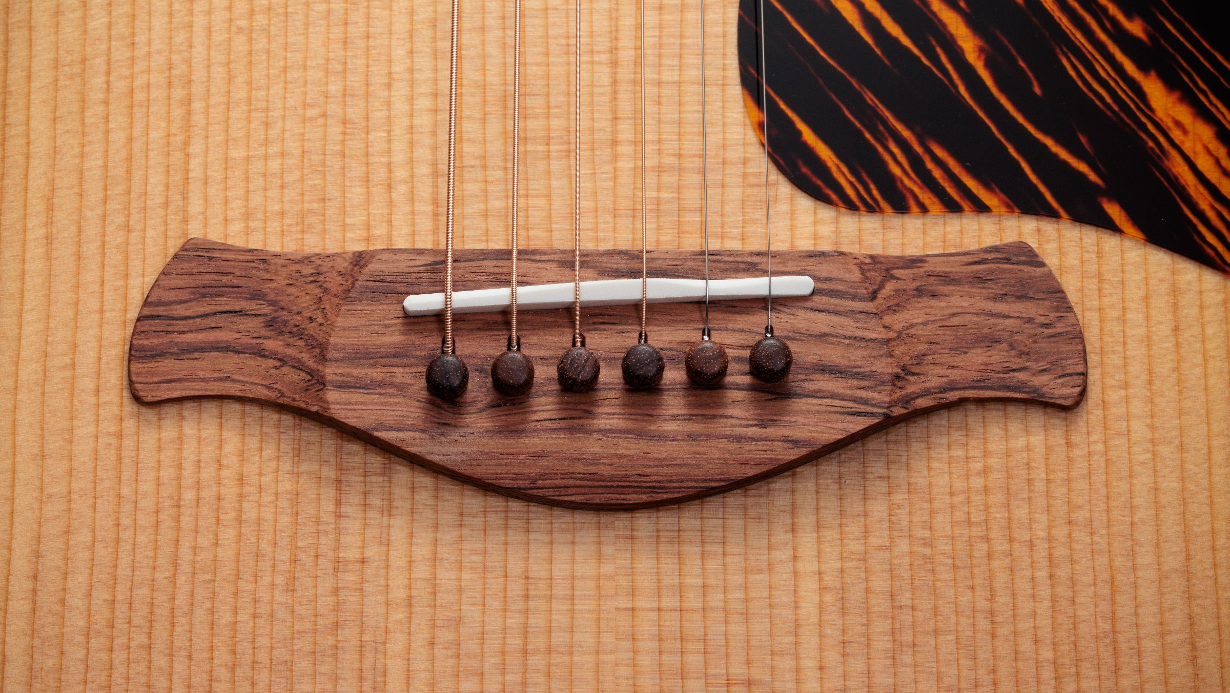 TAYLOR Gold Label 510e