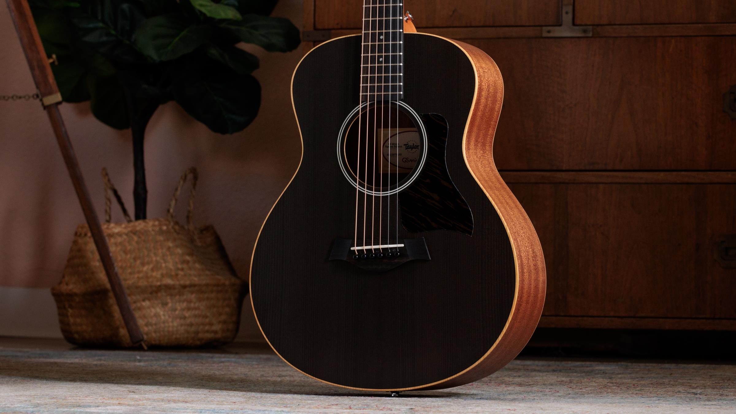 TAYLOR GS Mini-e Special Edition,Trans Black