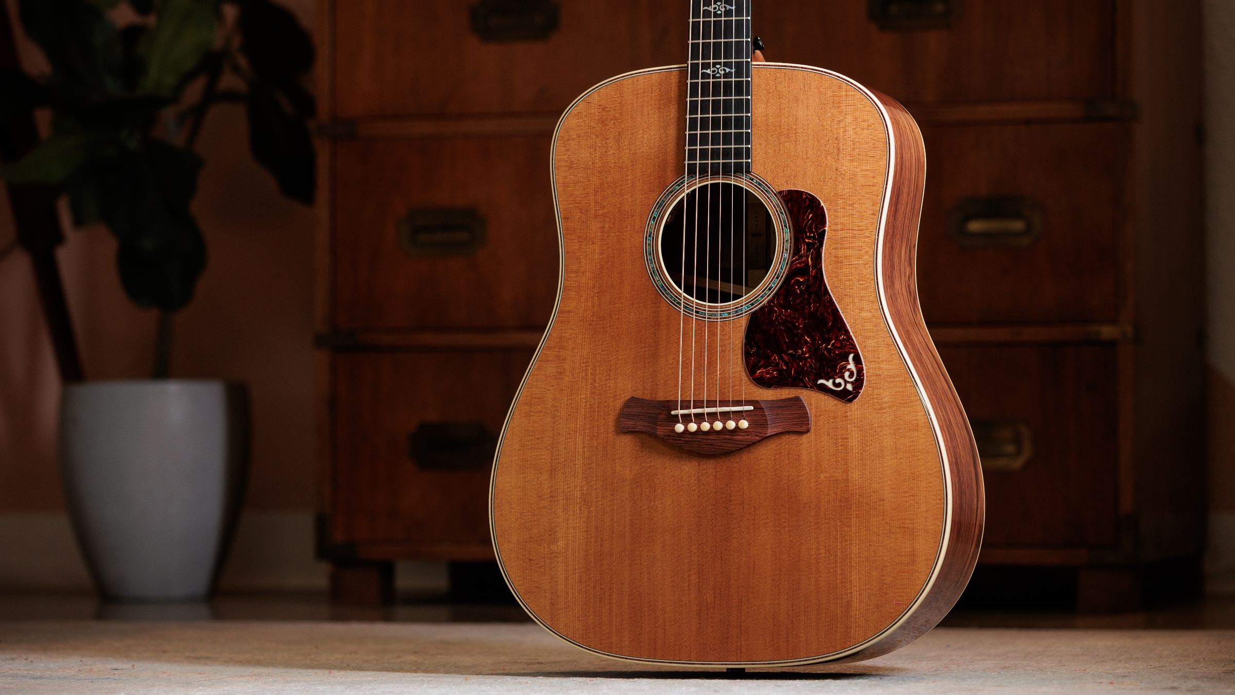TAYLOR Gold Label 810e