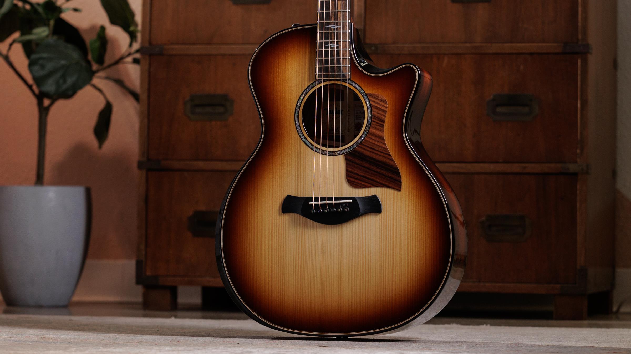 TAYLOR Builder's Edition 814ce Honduran Rosewood/Adirondack