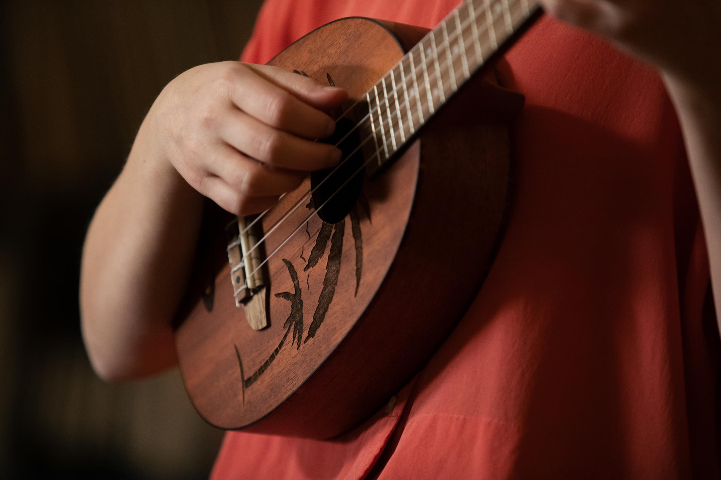 Ortega RUPA5MM Pineapple Konzert Ukulele Ortega RUPA5MM Pineapple Konzert Ukulele