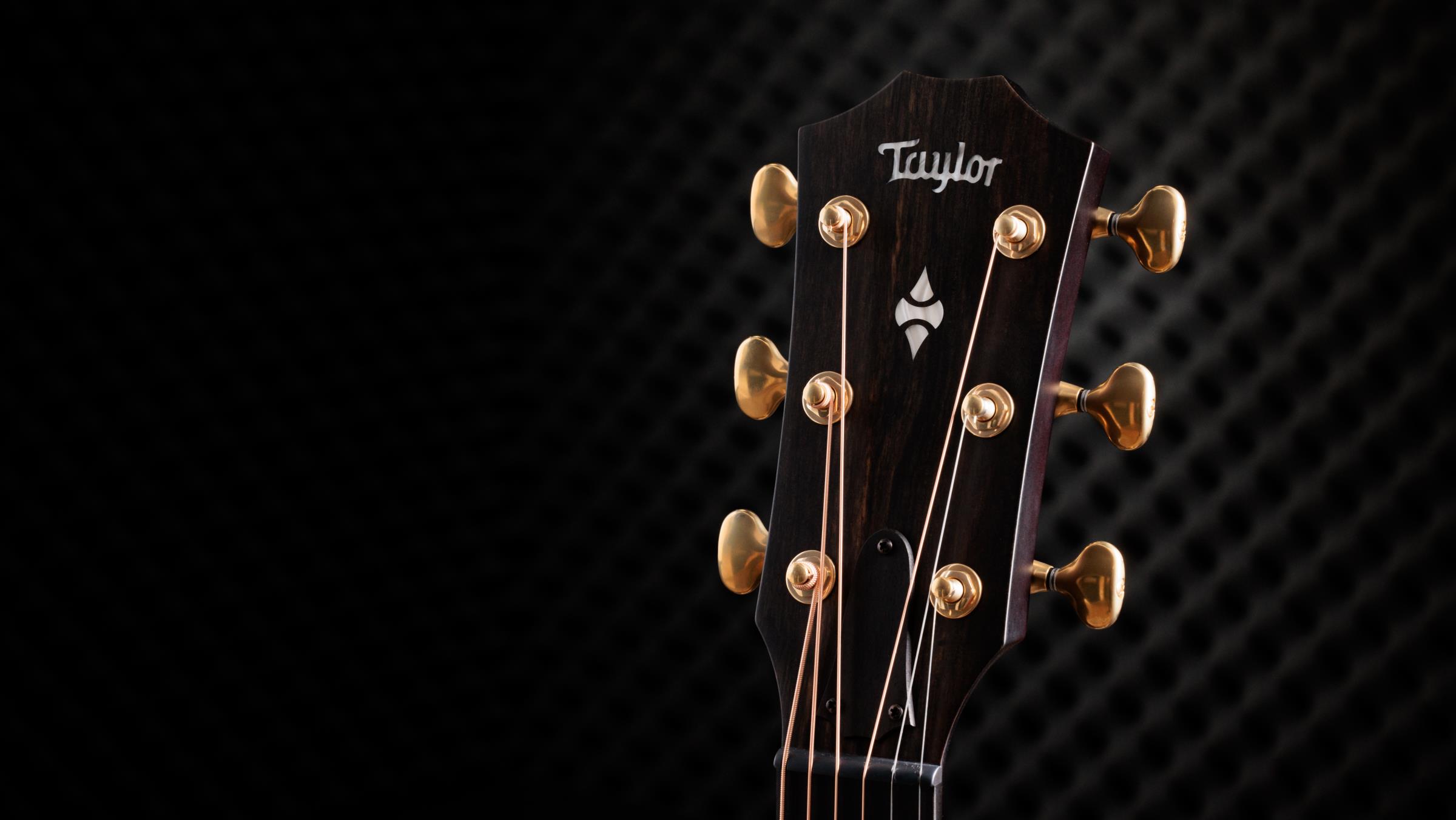 TAYLOR Builder’s Edition 314ce LTD (Natural Top)