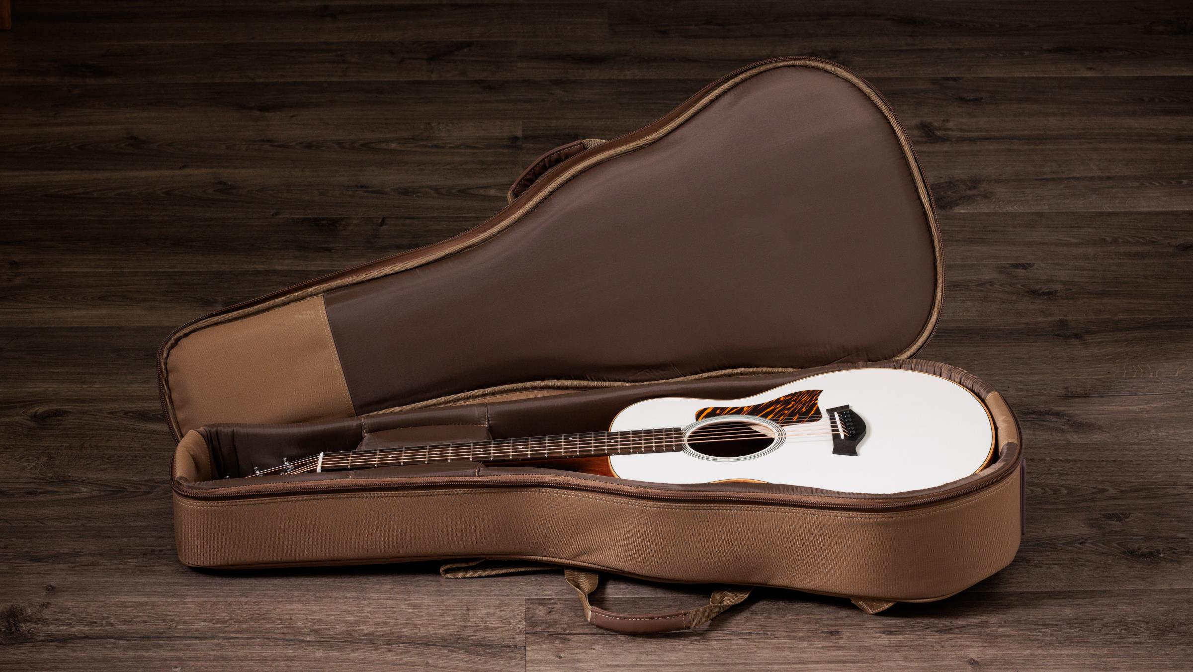 TAYLOR GS Mini-e Special Edition,Trans White