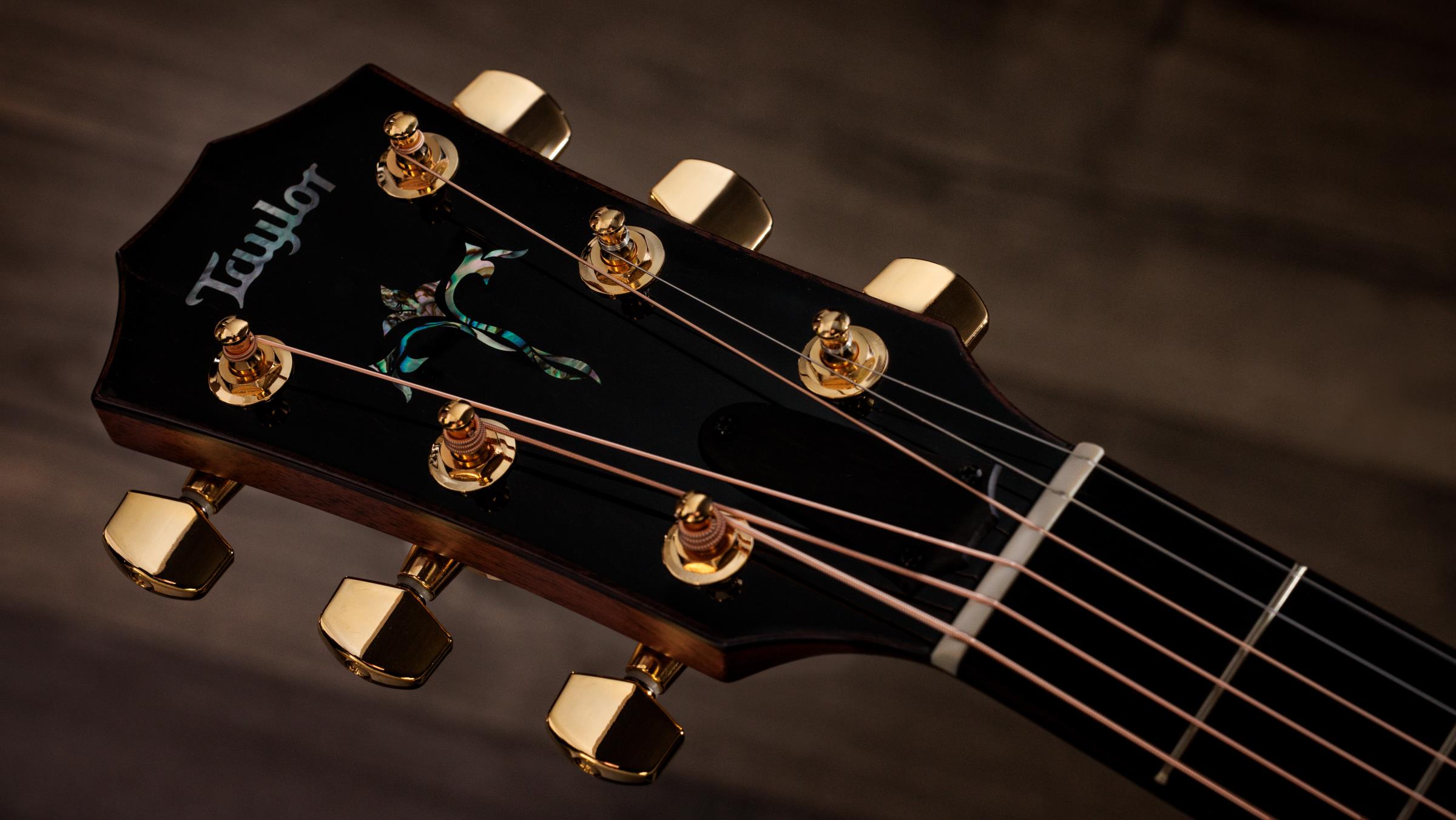 TAYLOR Legacy 914ce TAYLOR Legacy 914ce