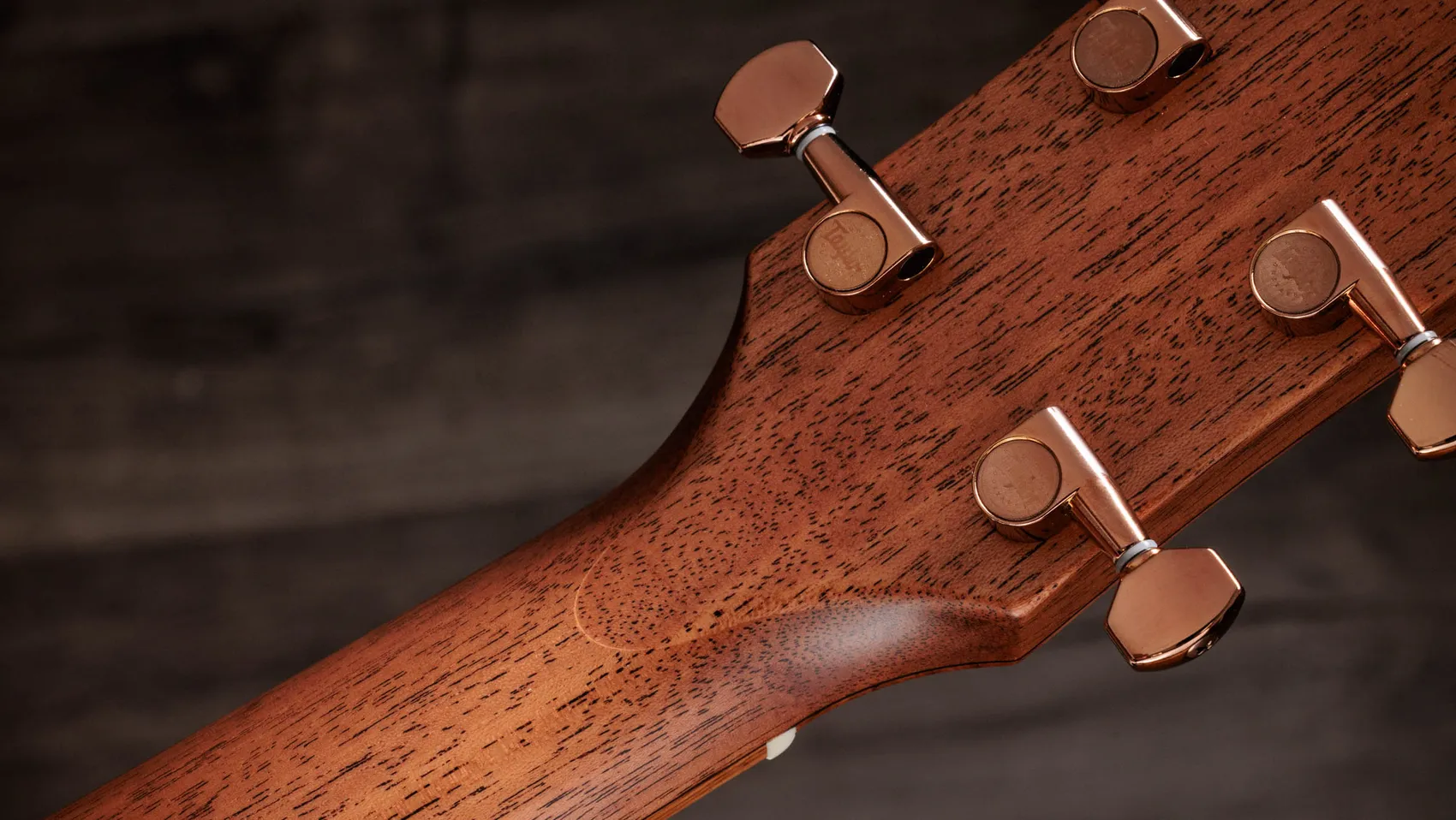 TAYLOR Ben Harper Gold Label 512e