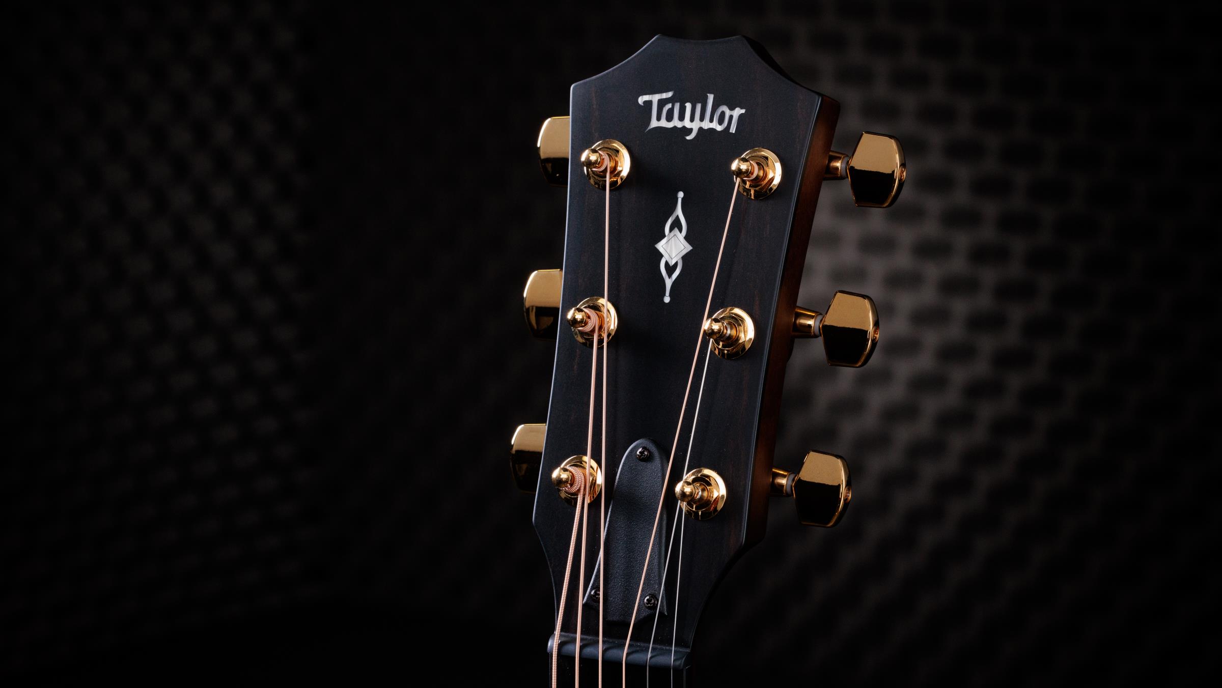 TAYLOR 312ce, 50th Anniversary