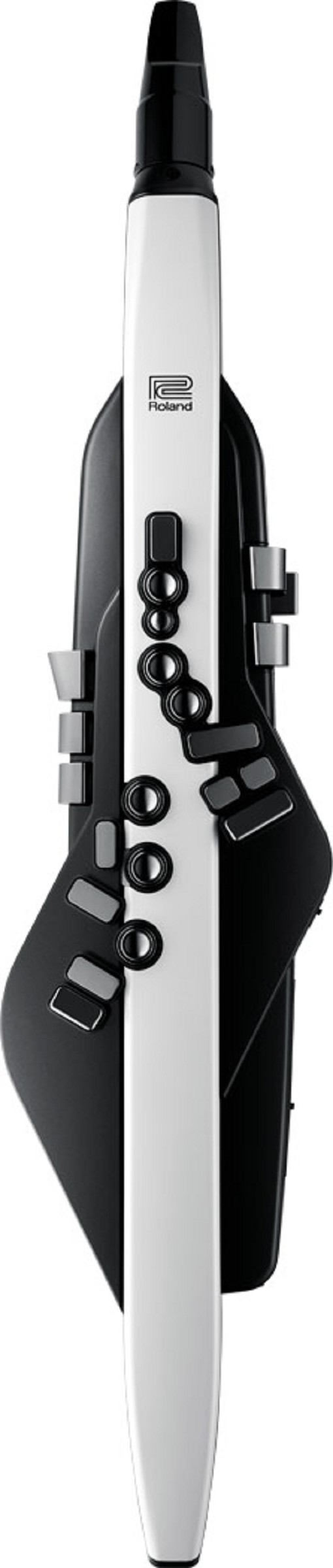 Roland AE-20 Aerophone Digital Windinstrumen Roland AE-20 Aerophone Digital Windinstrumen
