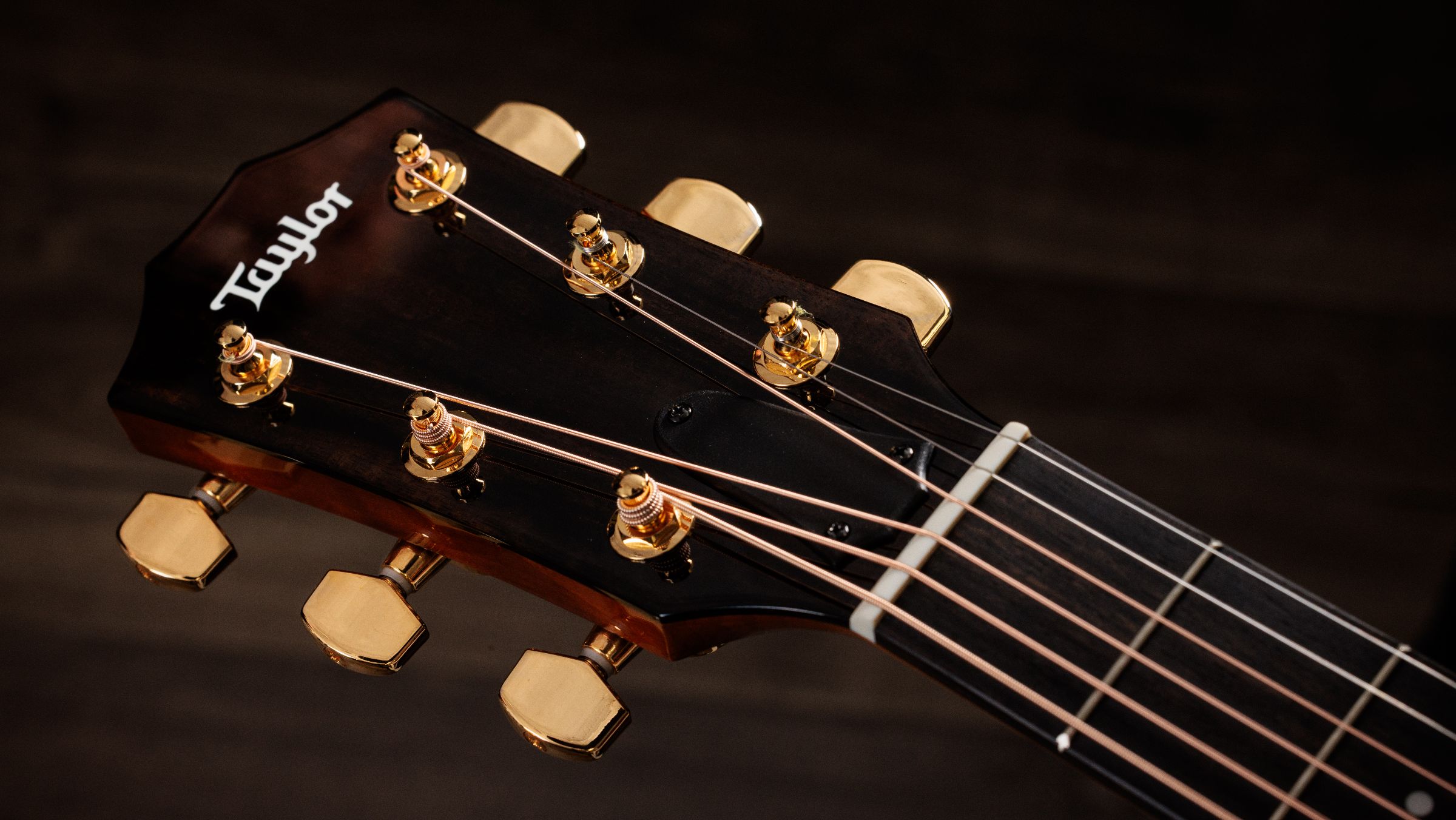 TAYLOR 217e Plus Special Editon Honeyburst