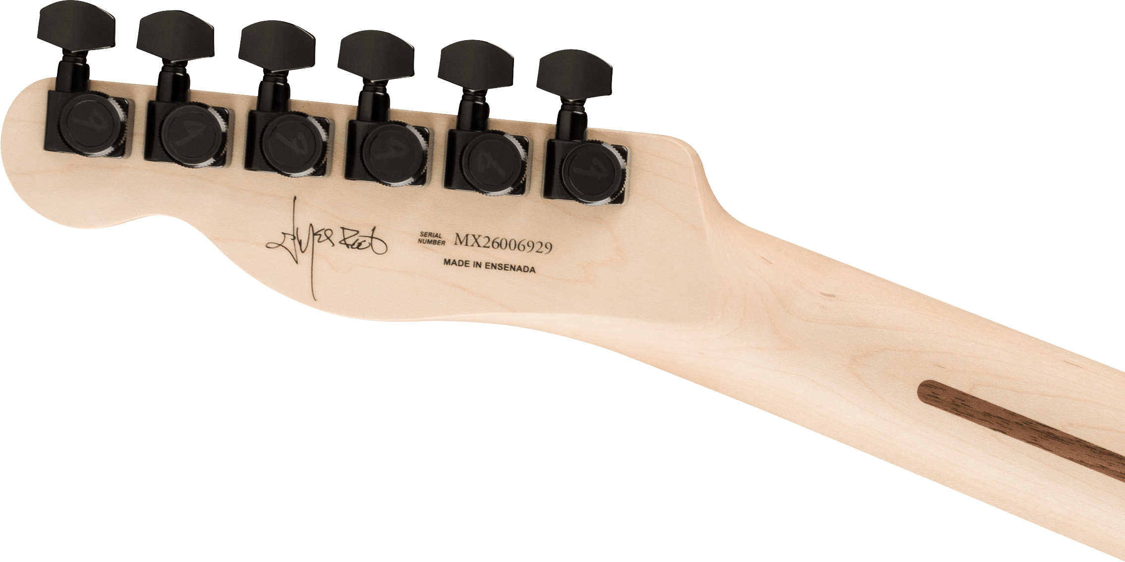 FENDER JIM ROOT TELECASTER EB SHG