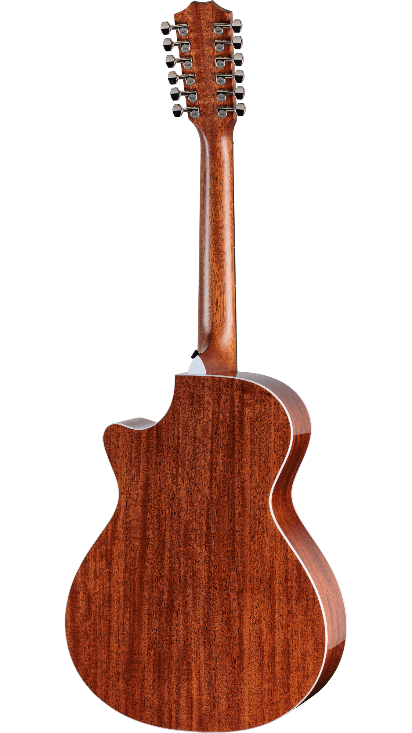 TAYLOR 552ce 12-Fret 12 String Next Generation