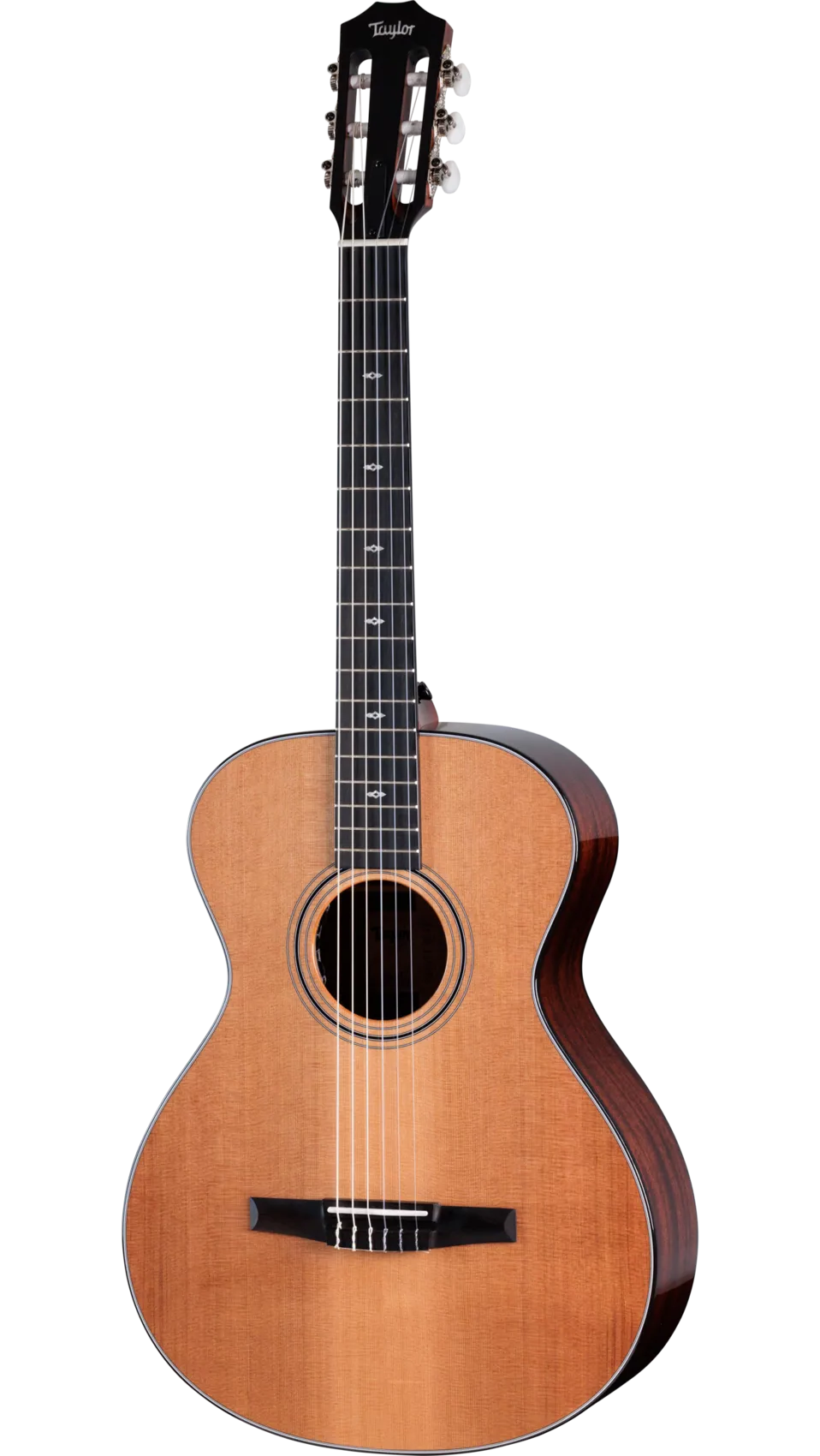 TAYLOR Sunset Blvd 312e-N,Sapele/Cedar