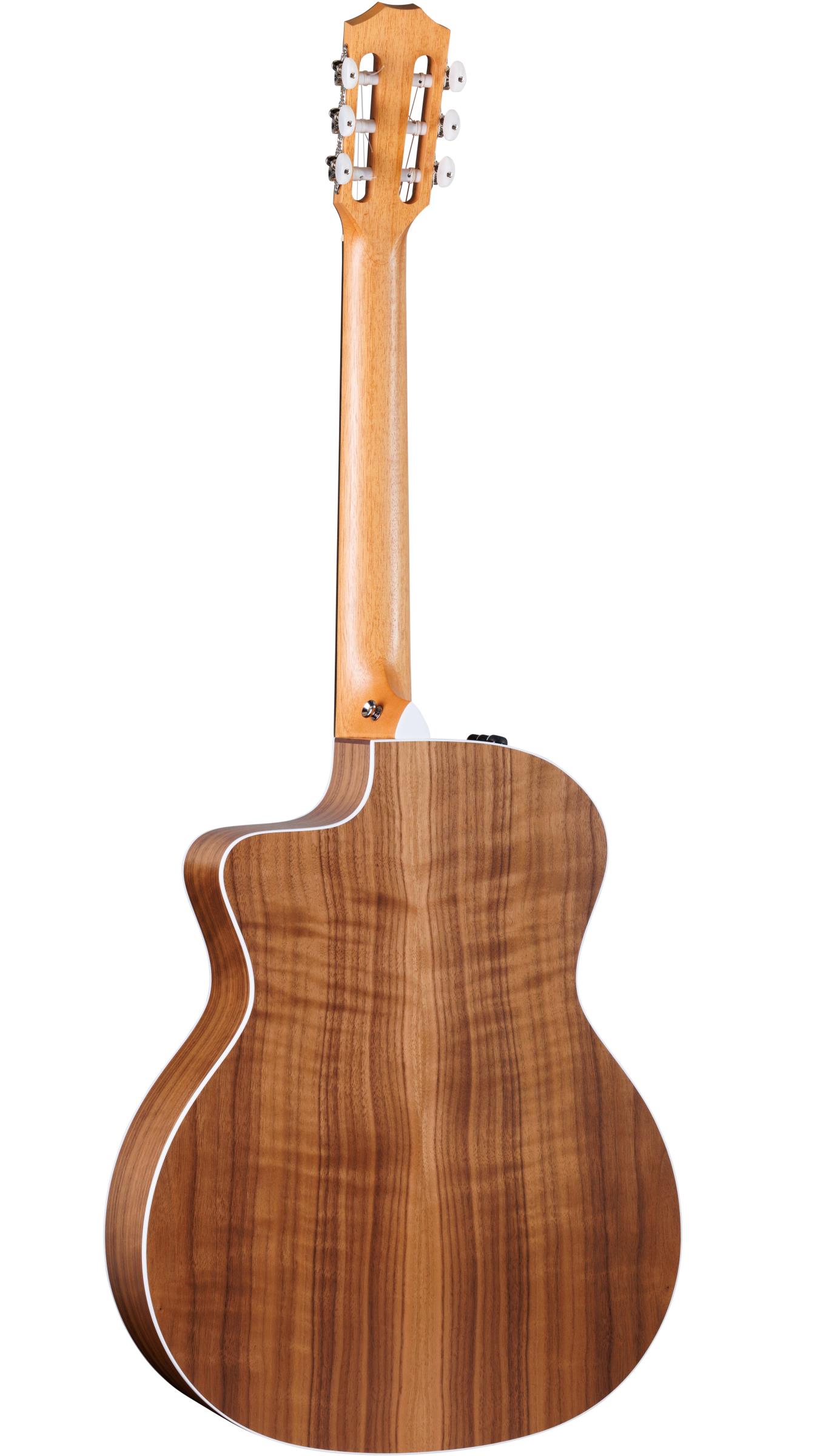 TAYLOR 214ce-N TAYLOR 214ce-N