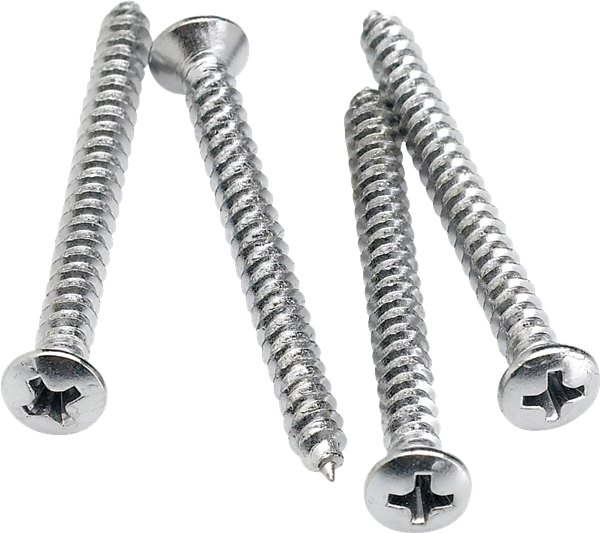 FENDER NECK MOUNTING SCREWS (qty 4)