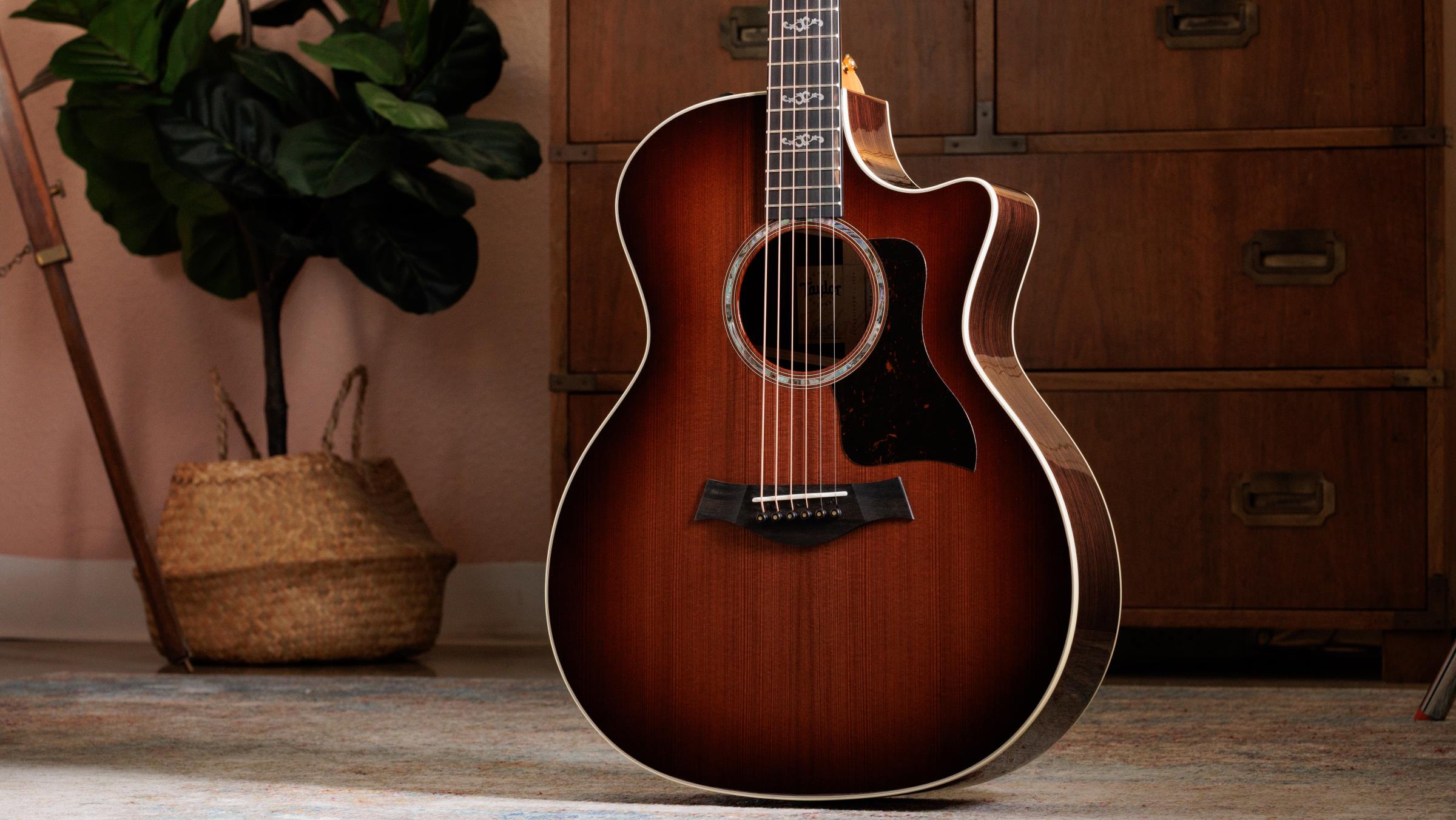 TAYLOR 414ce Special Edition, 50th Anniversary