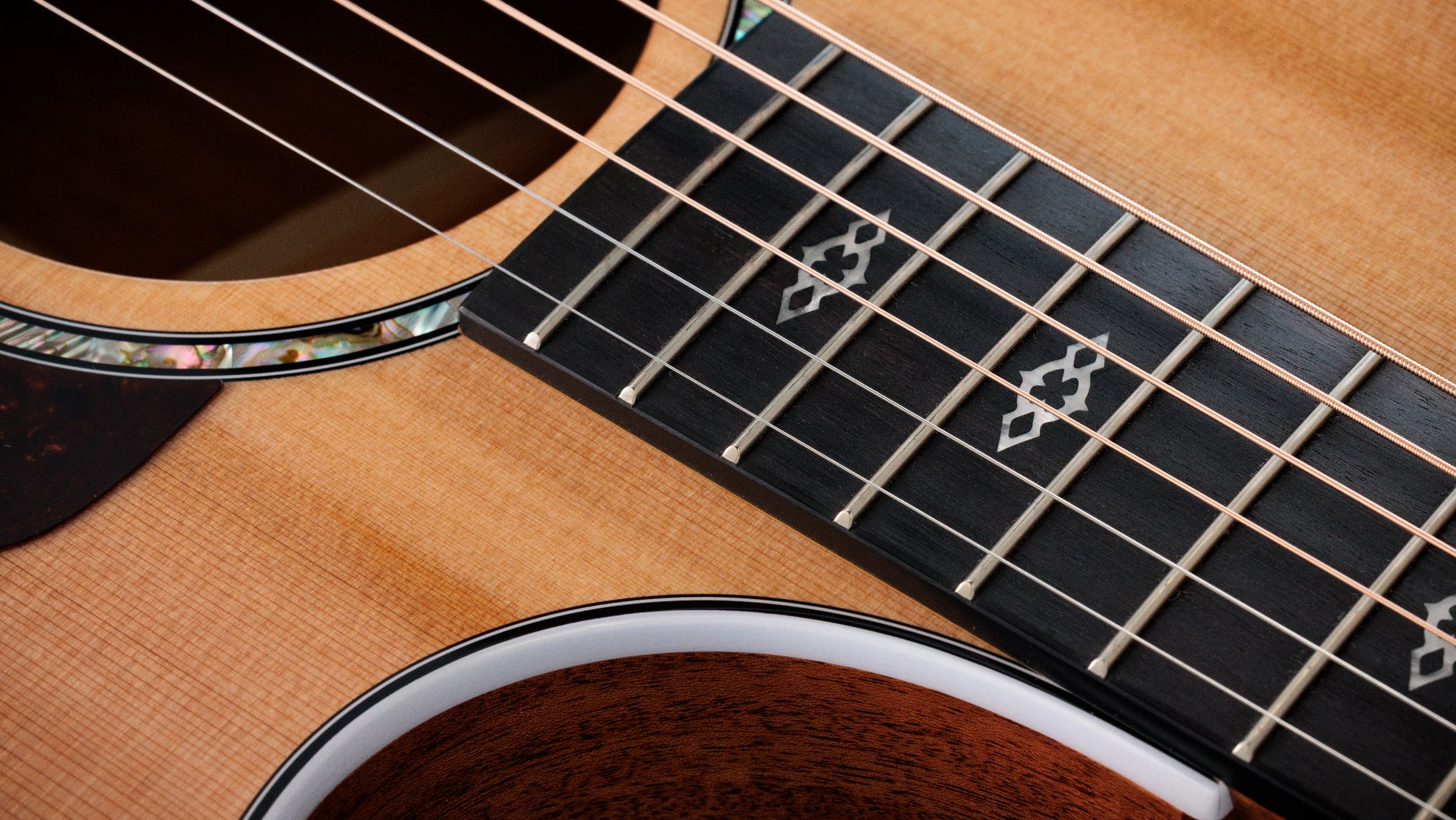 TAYLOR 512ce 12-Fret Next Generation