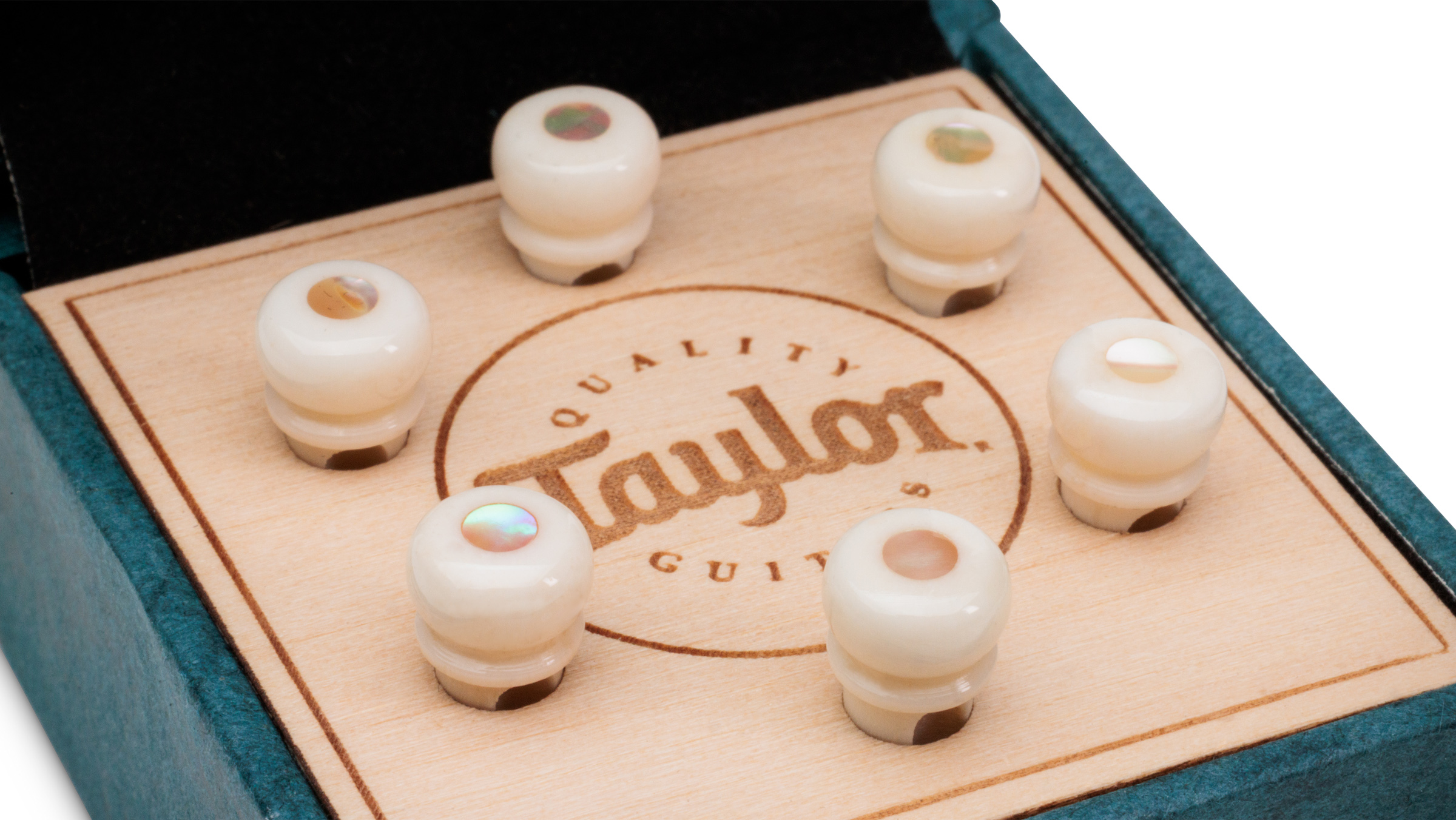 TAYLOR Bridge Pin Set,5"Taper,Bone,White w/Awabi Shell