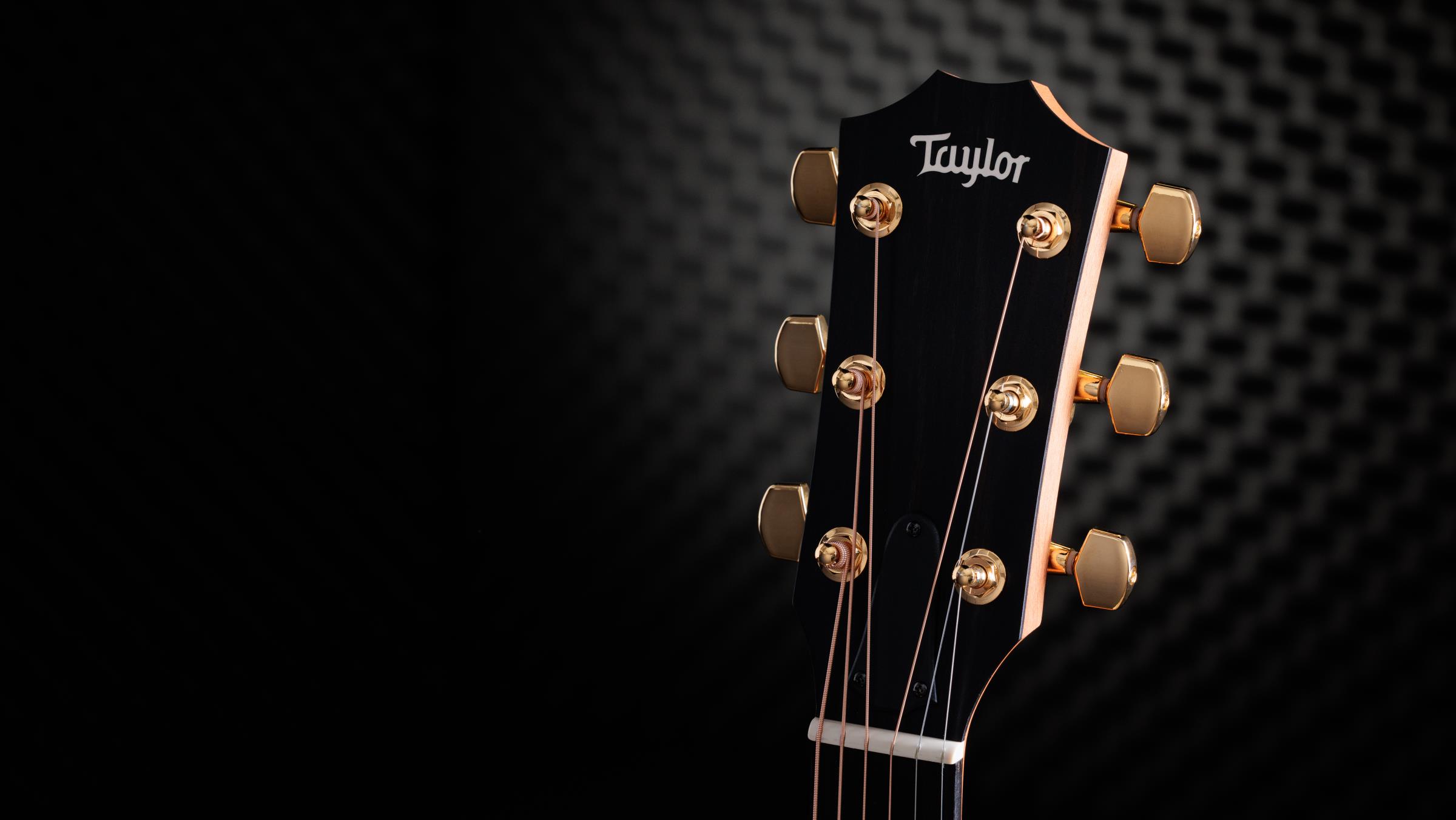 TAYLOR 217e-SB Plus 50th Anniversary