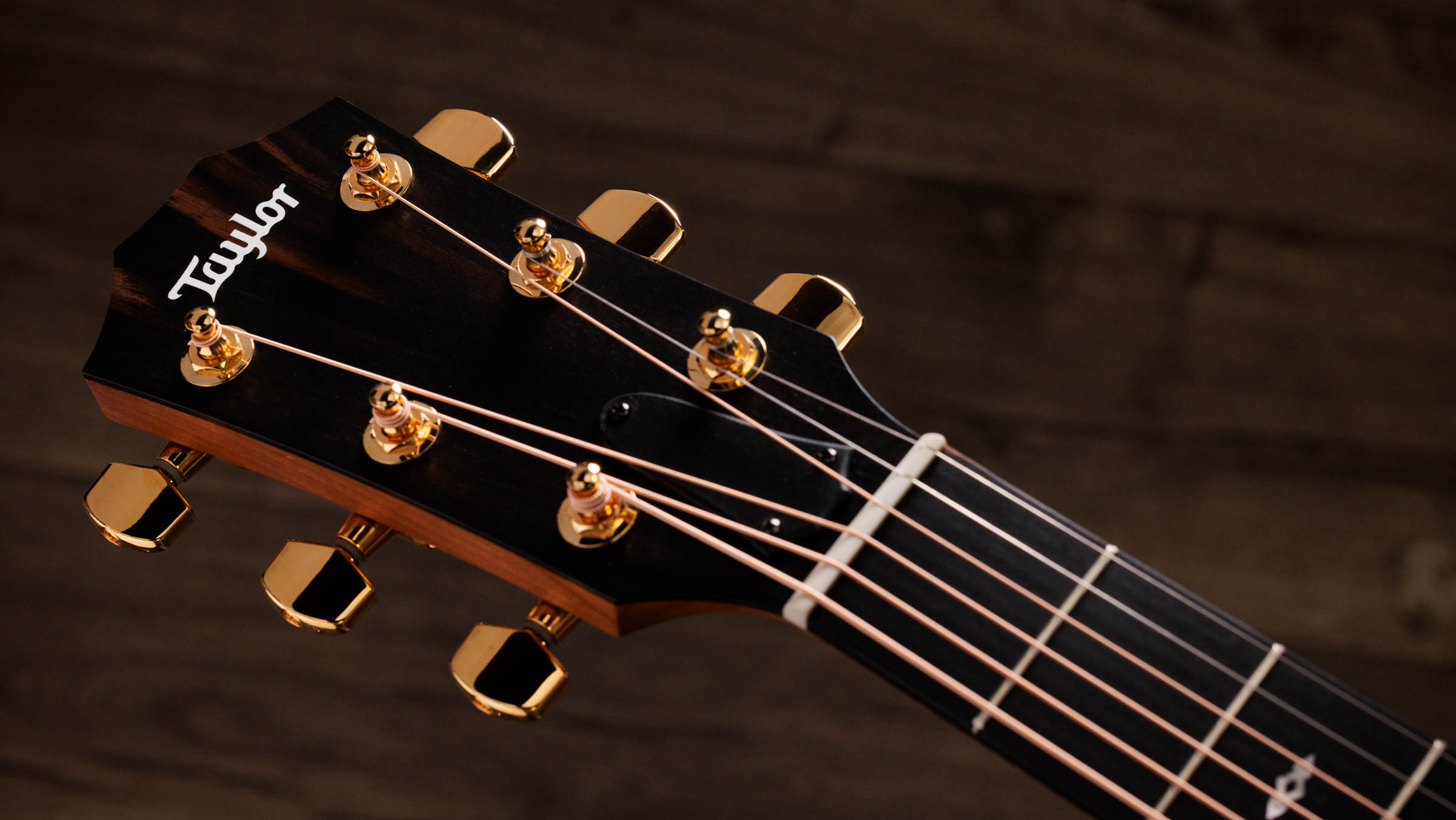 TAYLOR Sunset Blvd 114ce SEB